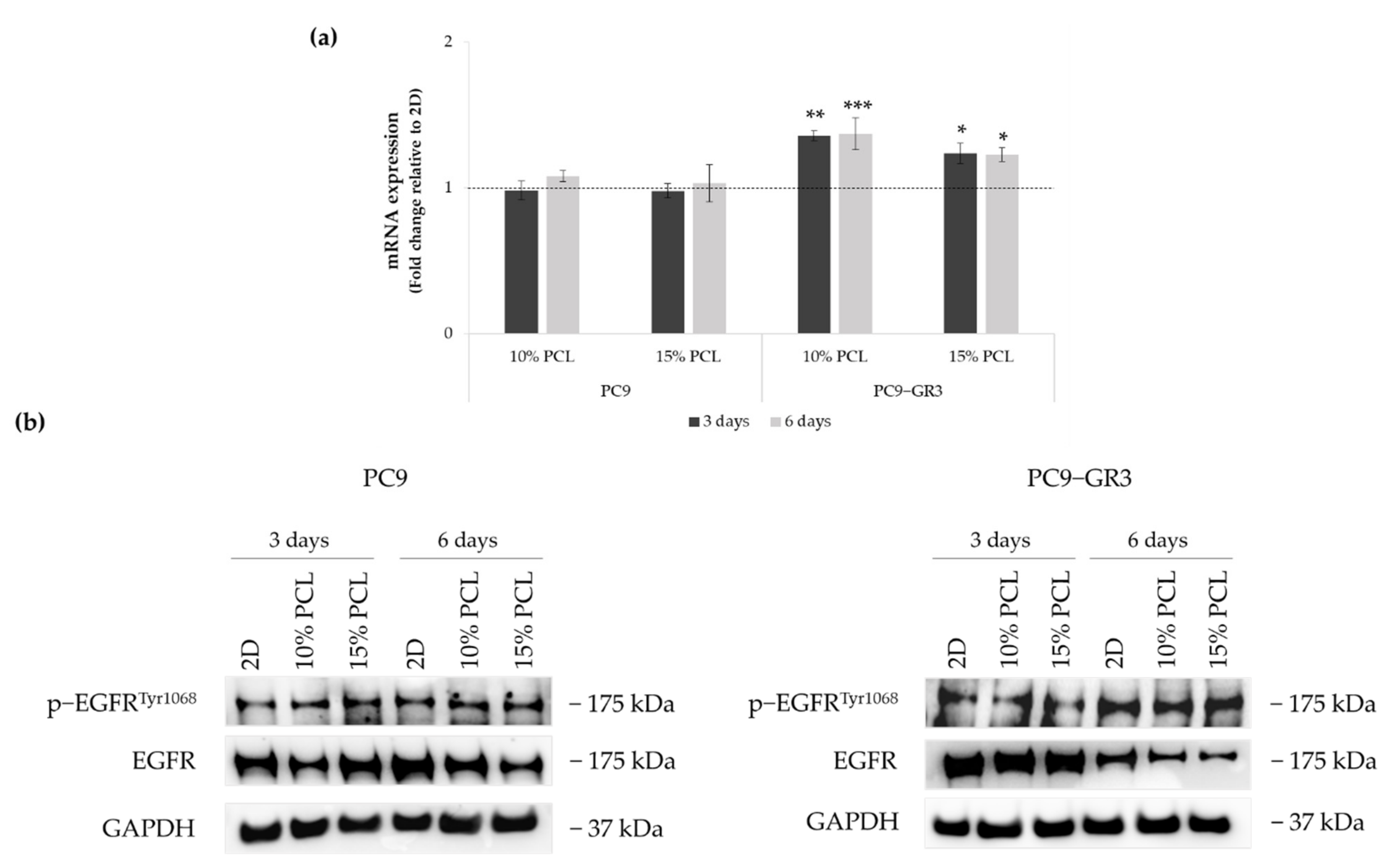 Cancers 13 05320 g005