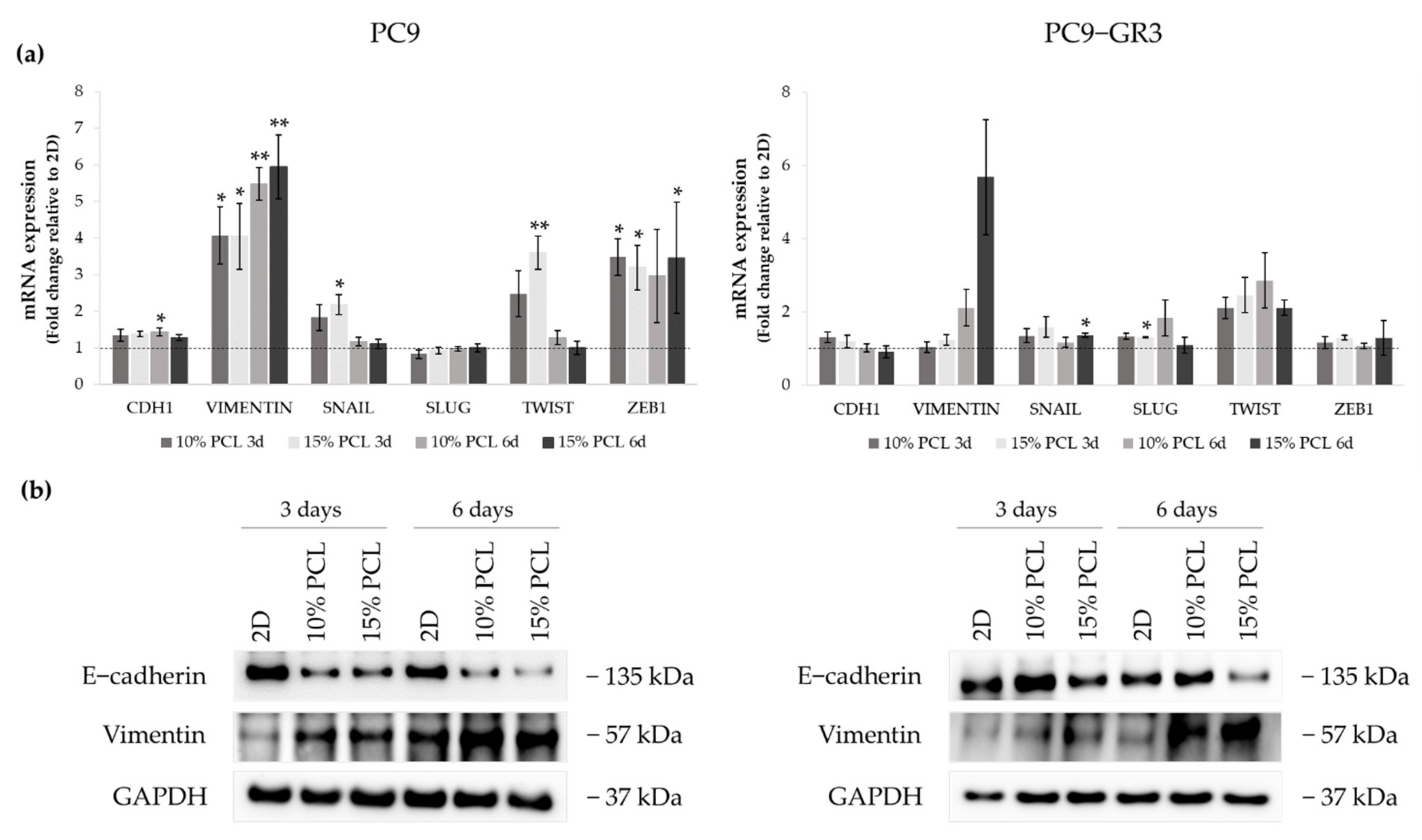 Cancers 13 05320 g007