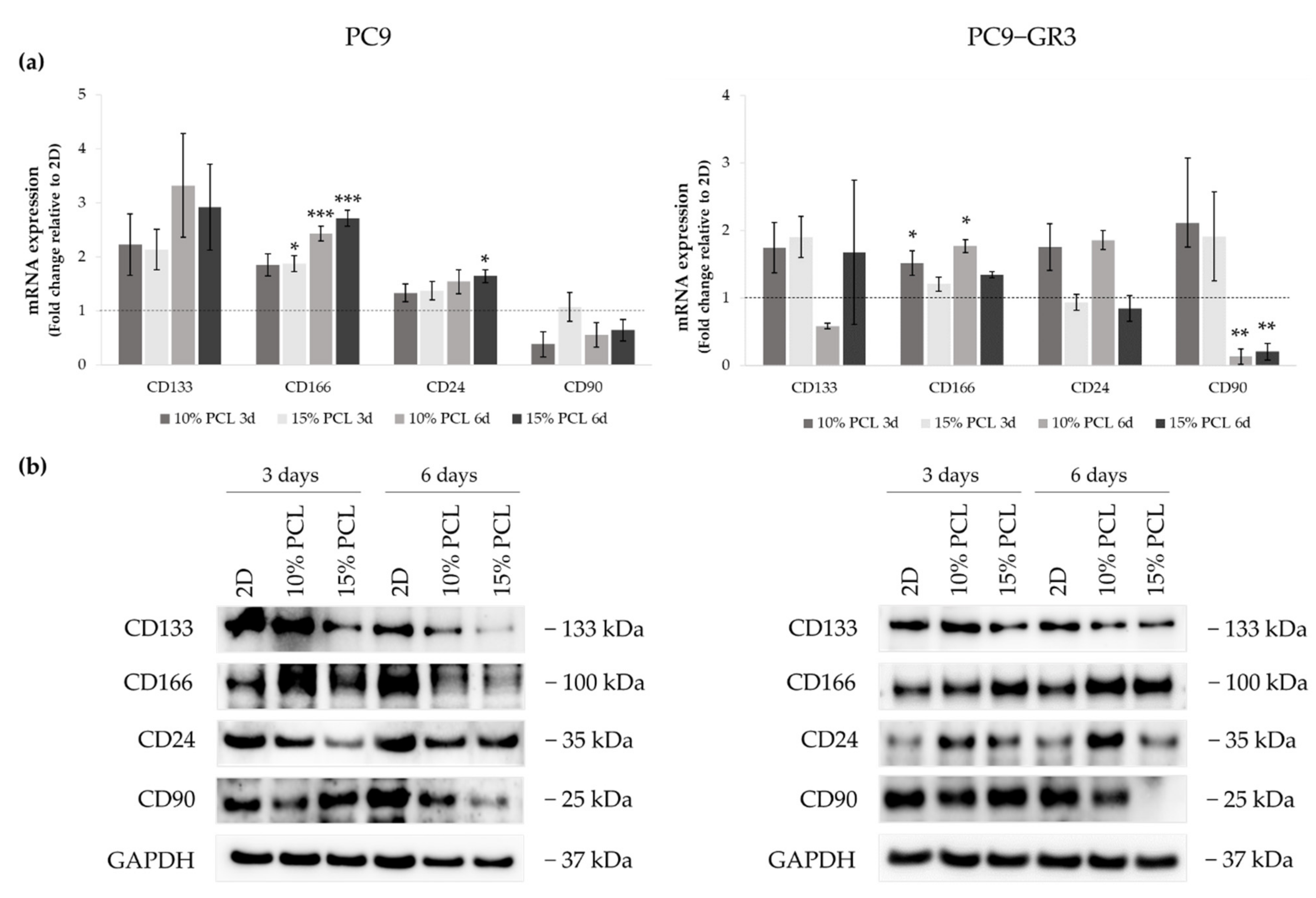 Cancers 13 05320 g009