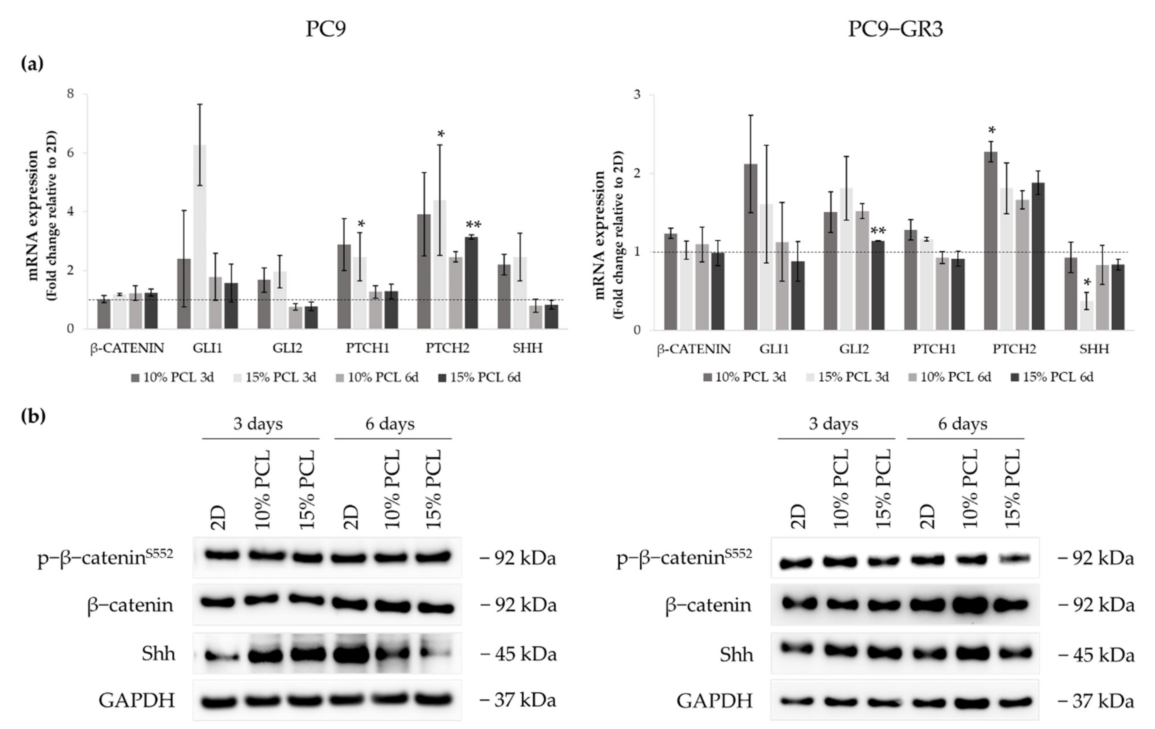 Cancers 13 05320 g010