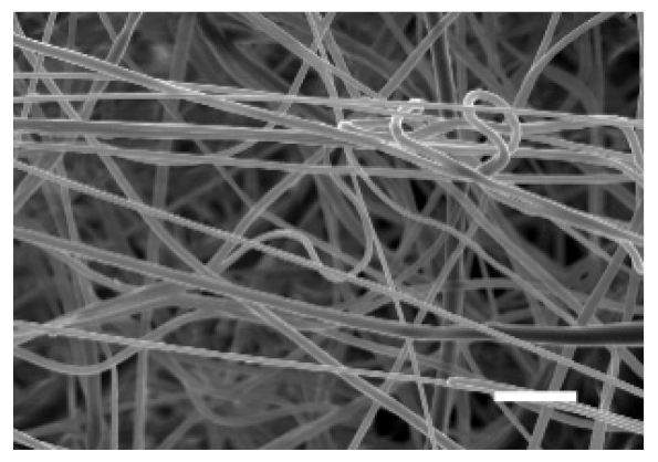 Cancers 13 05320 i004