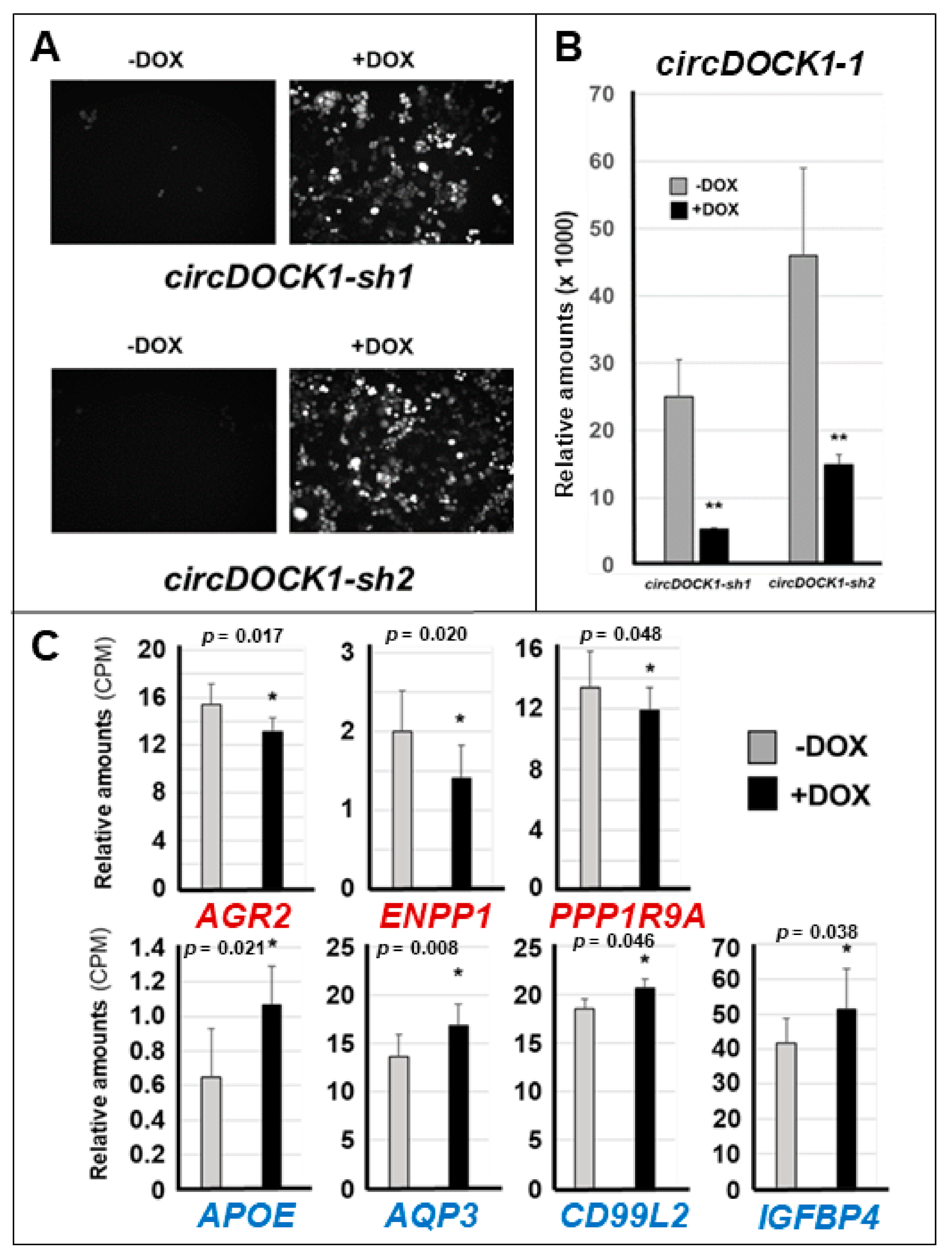 Cancers 13 05325 g006