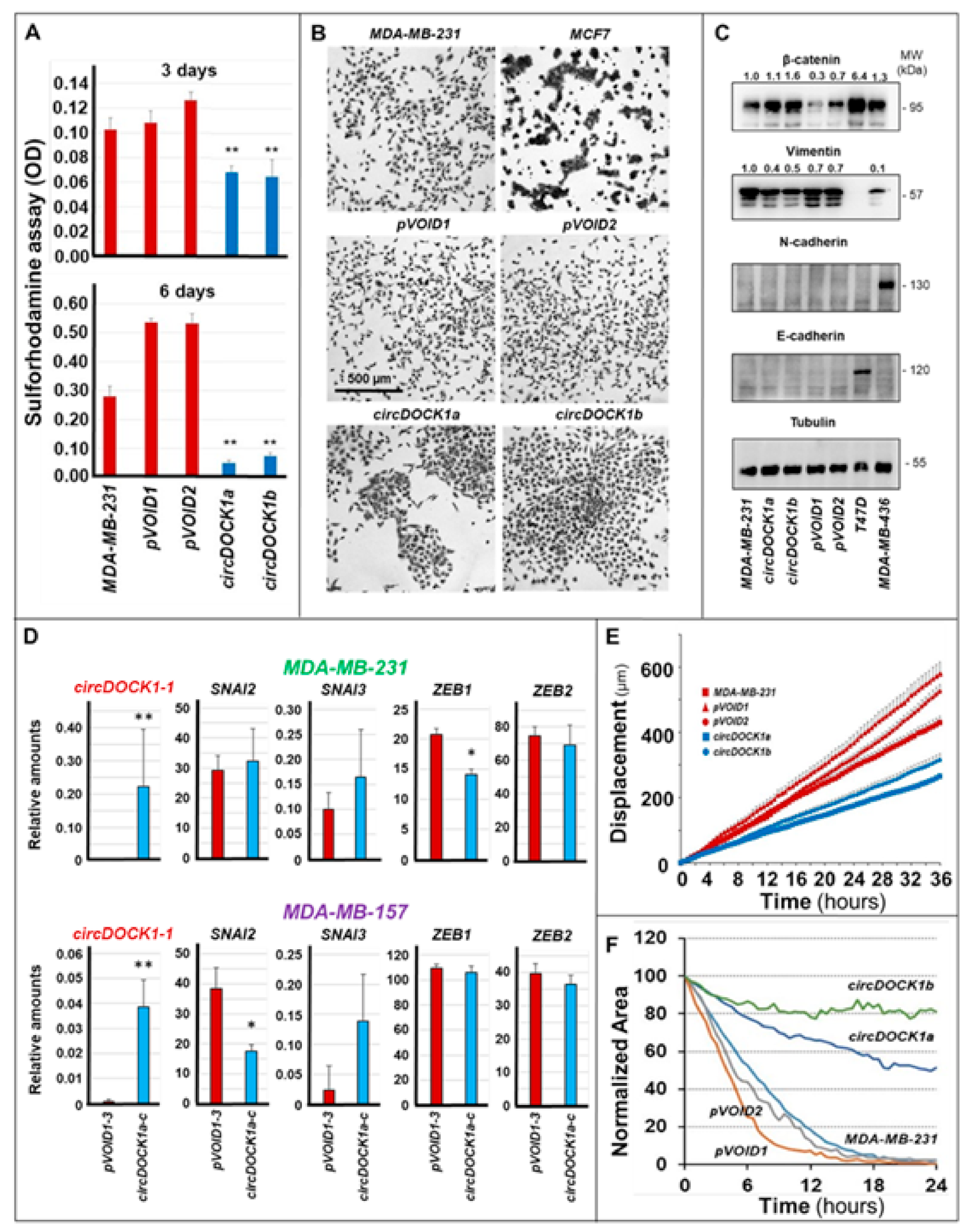 Cancers 13 05325 g007