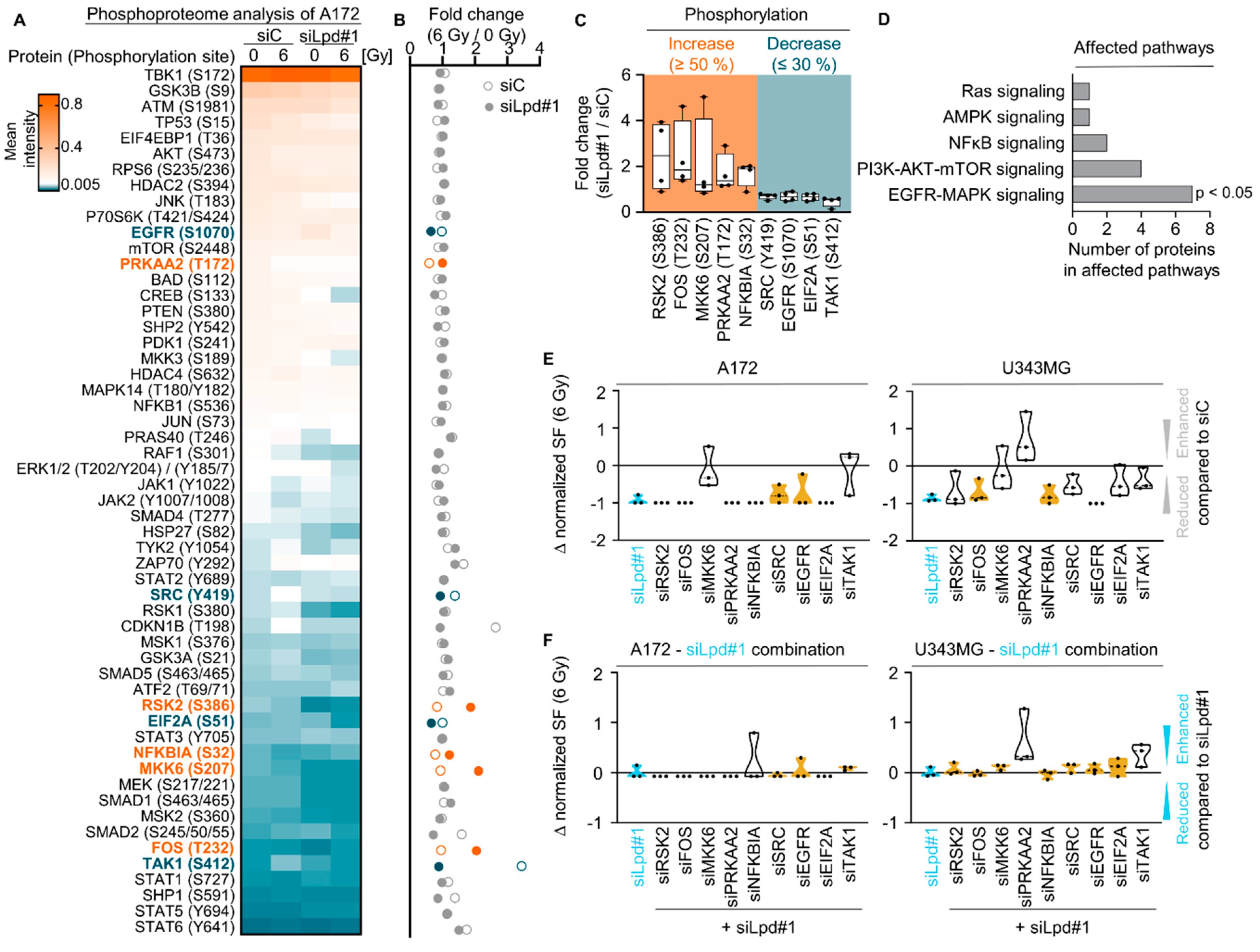 Cancers 13 05337 g003