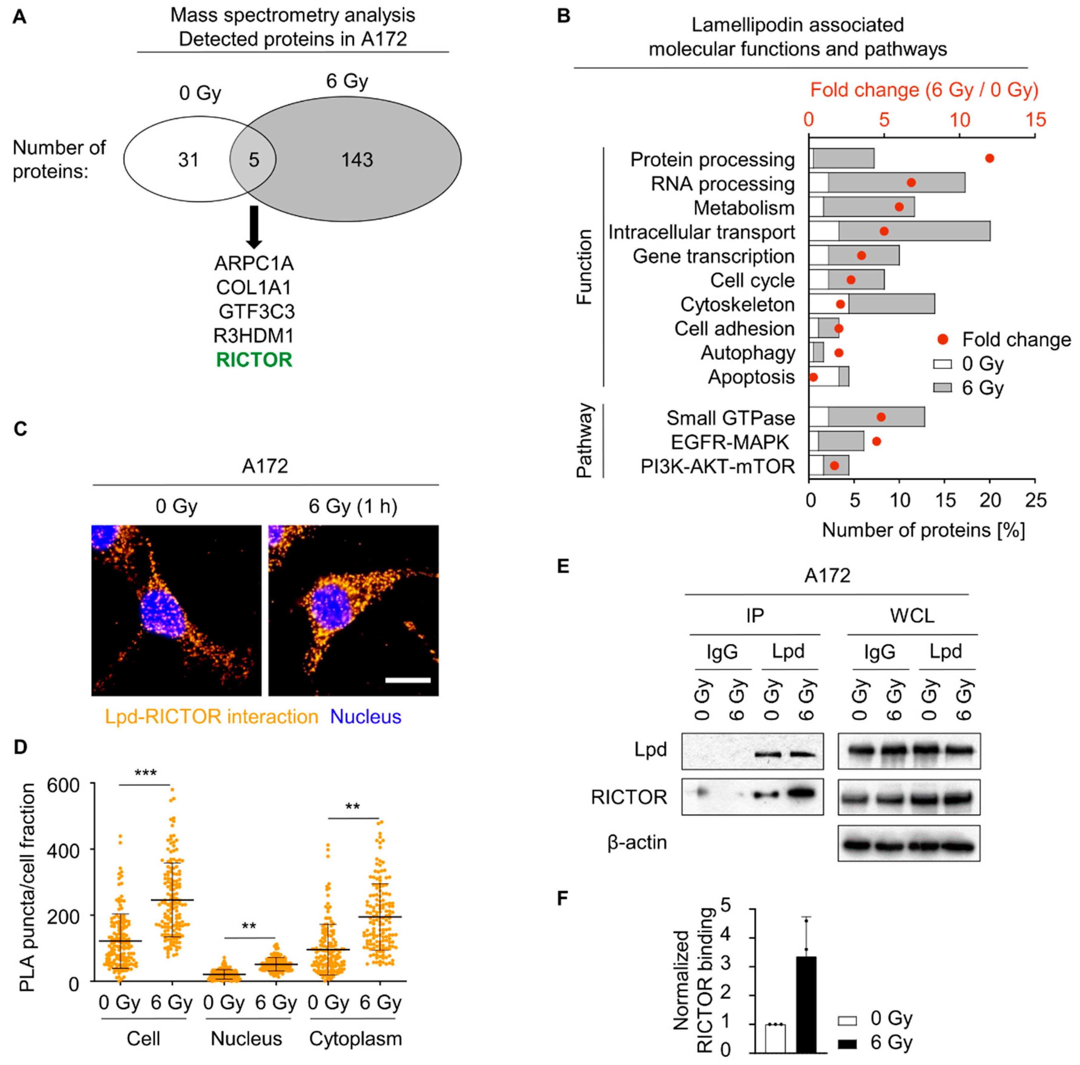 Cancers 13 05337 g005