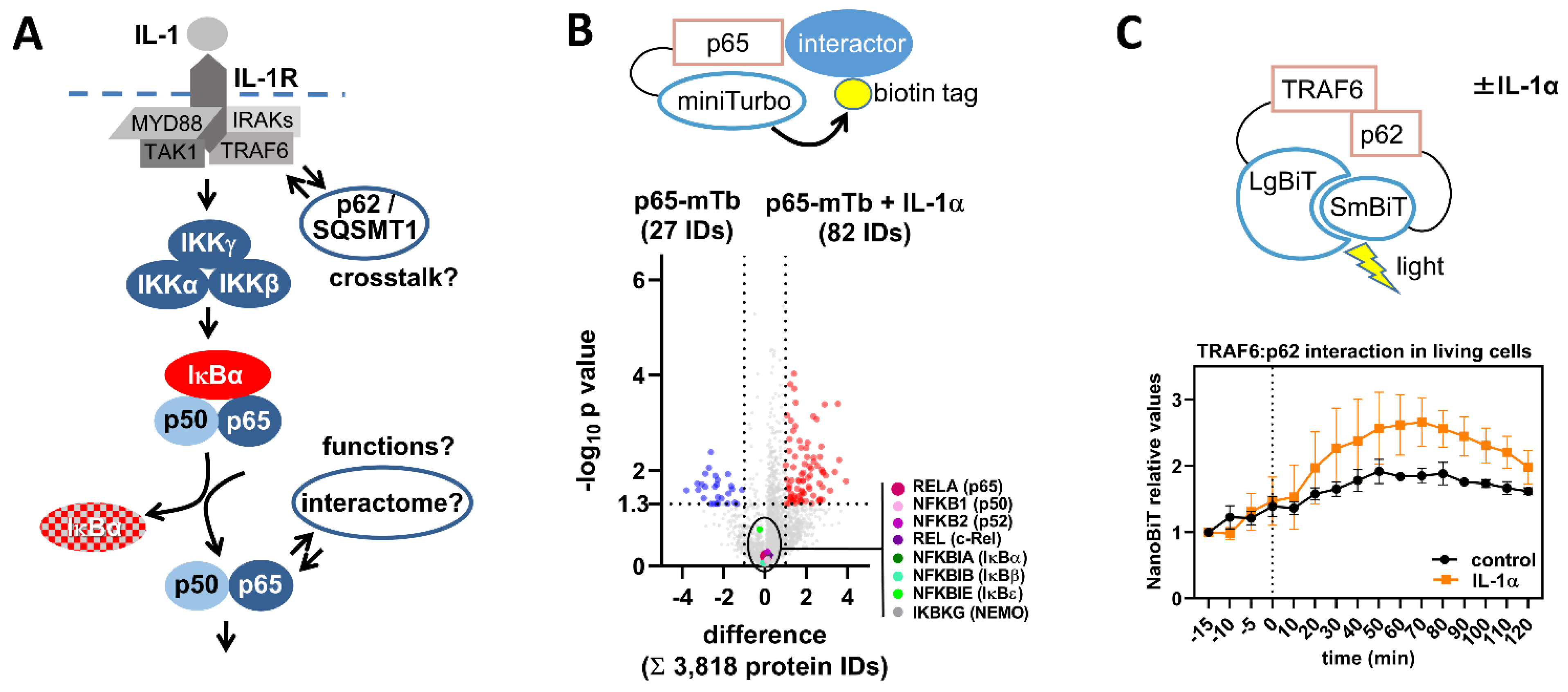 Cancers 13 05351 g005 Cancers 13 05351 g005