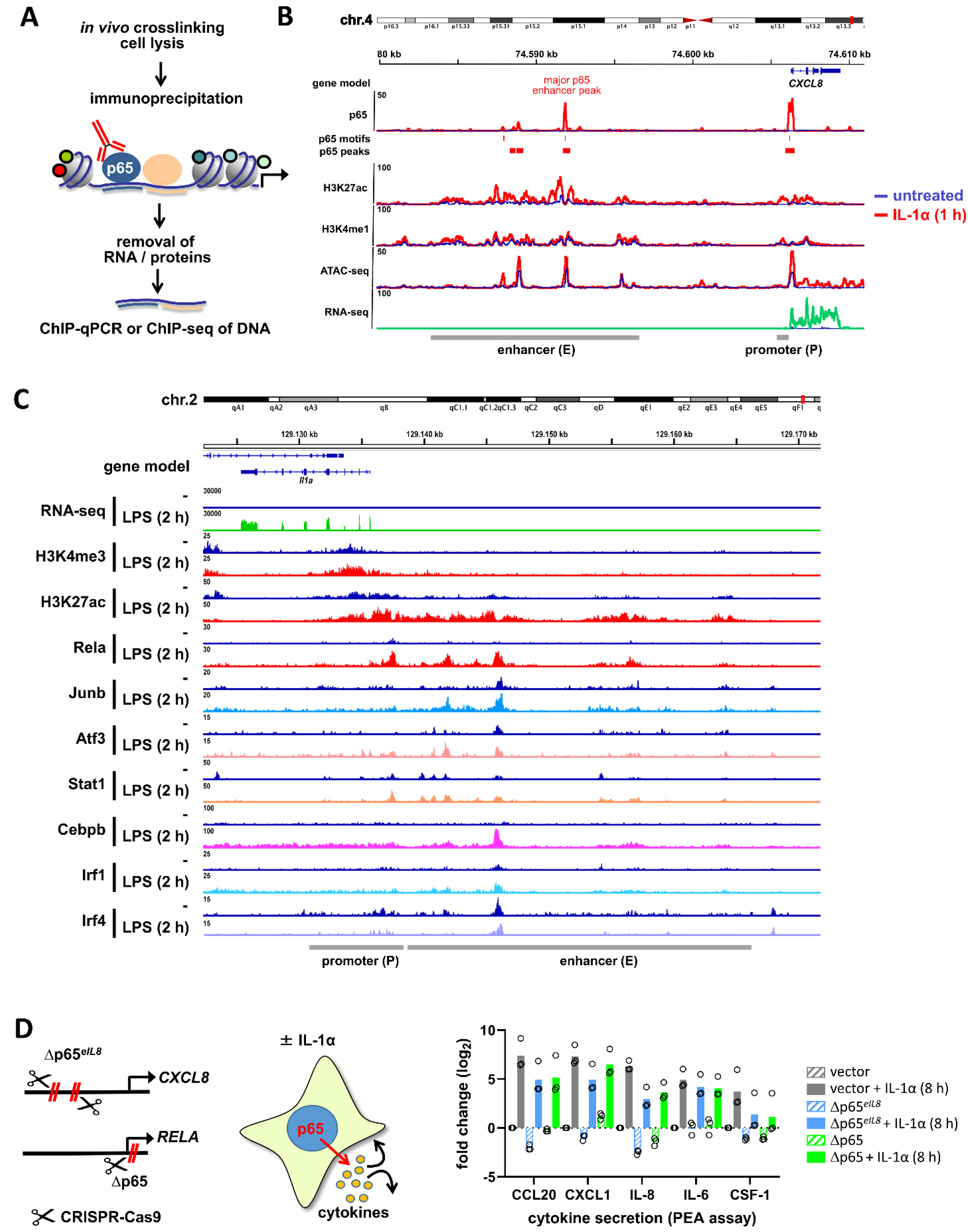 Cancers 13 05351 g006 Cancers 13 05351 g006