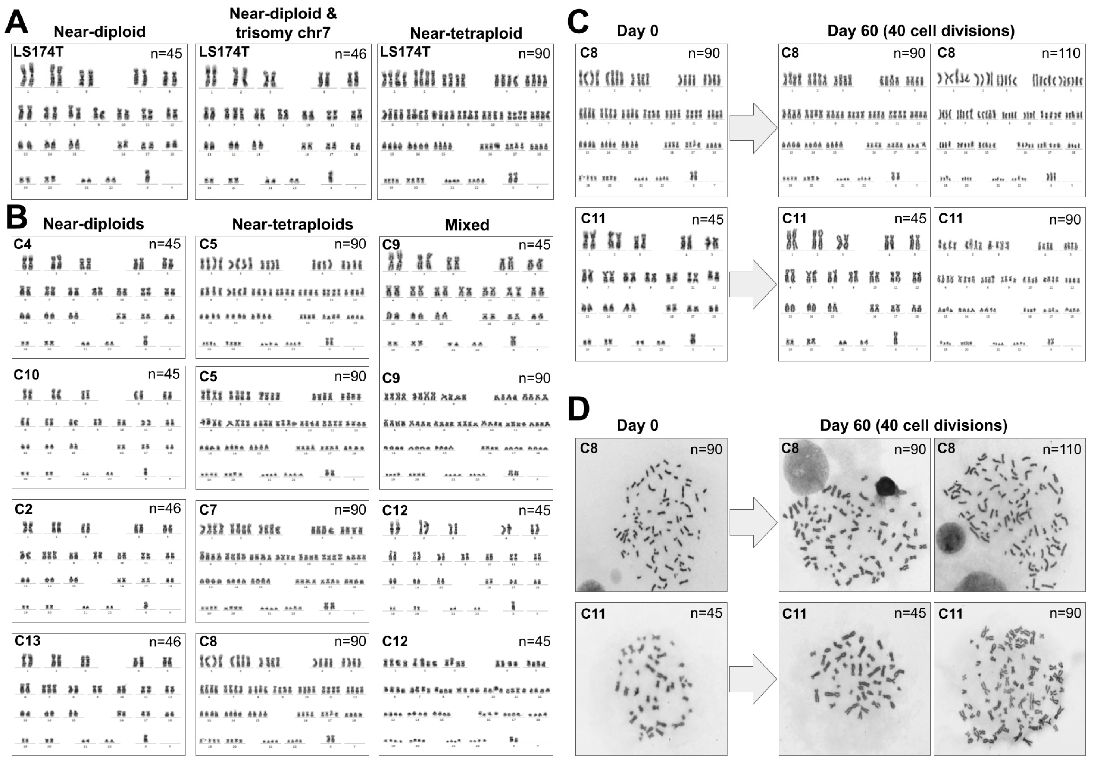 Cancers 13 05353 g002