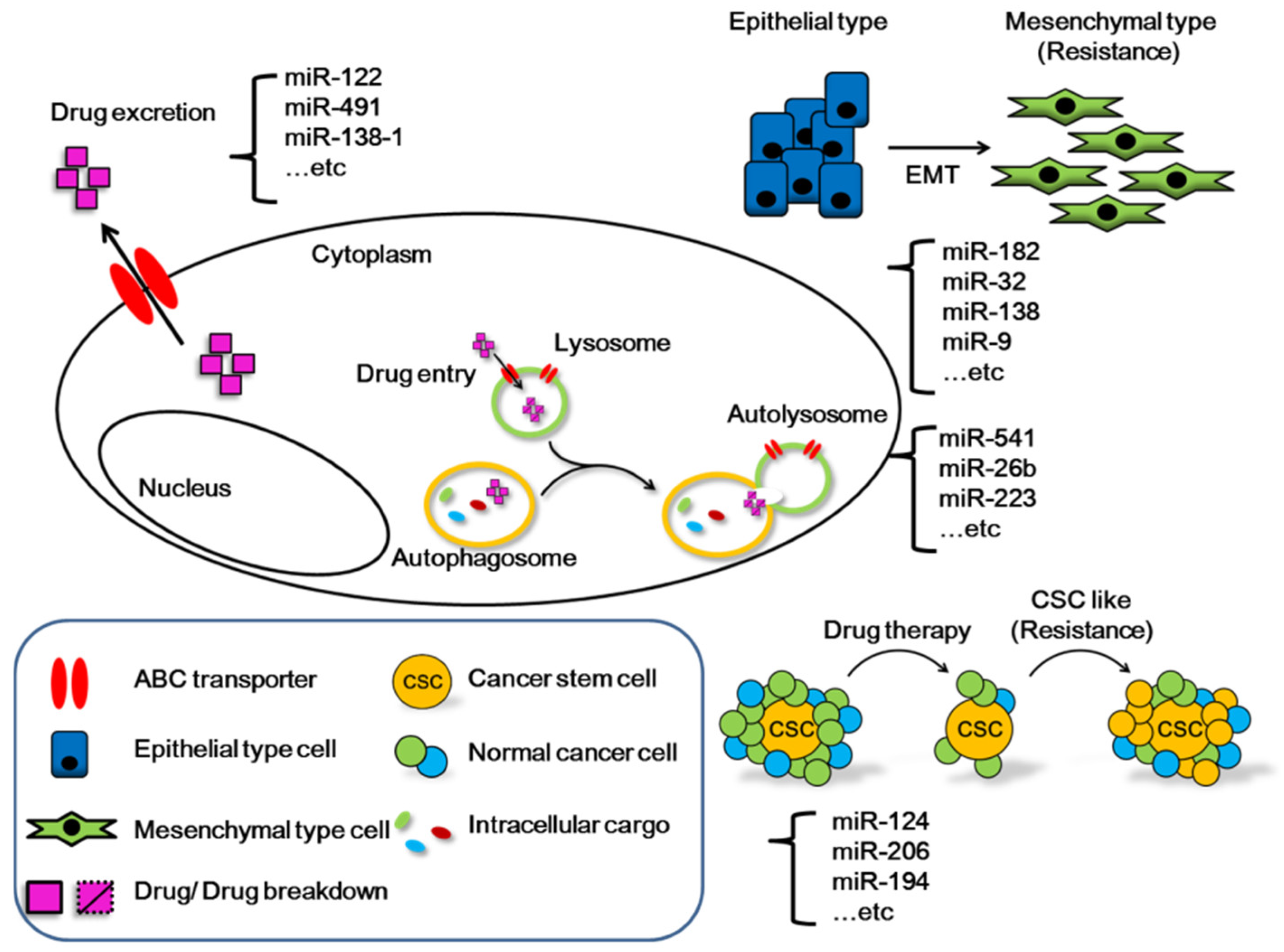 Cancers 13 05361 g002