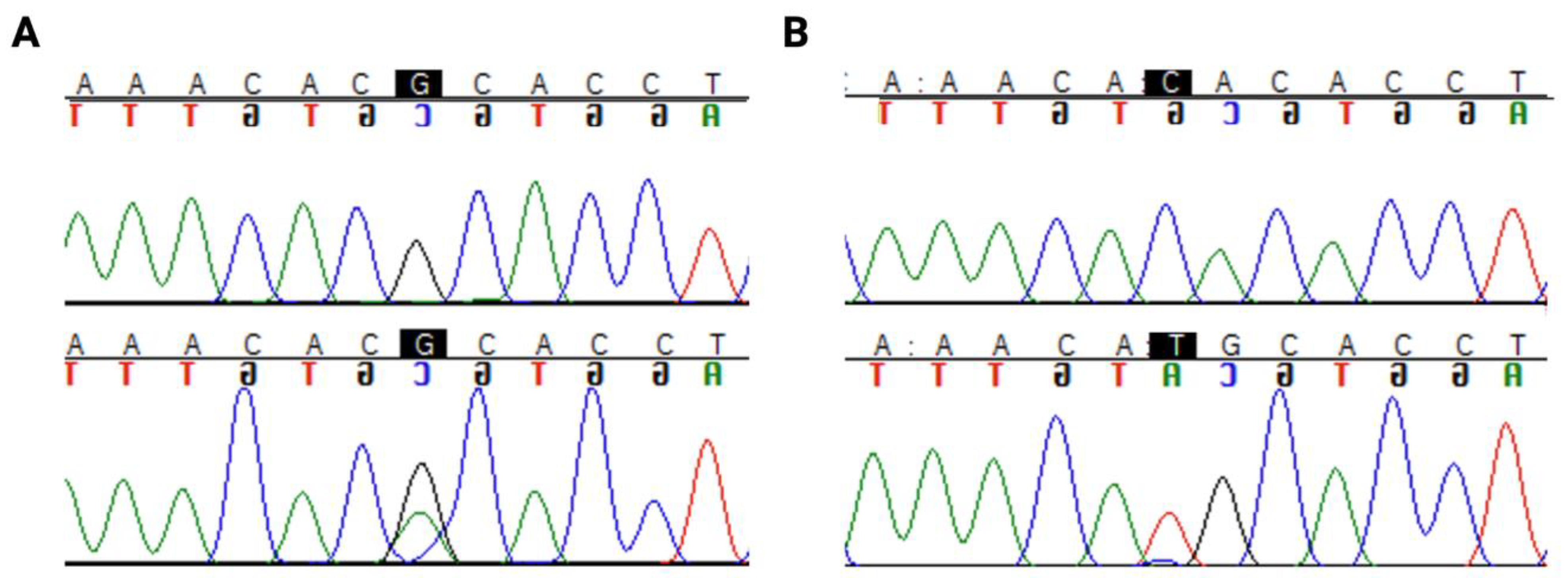 How to grade a G-string pattern — Van Jonsson Design