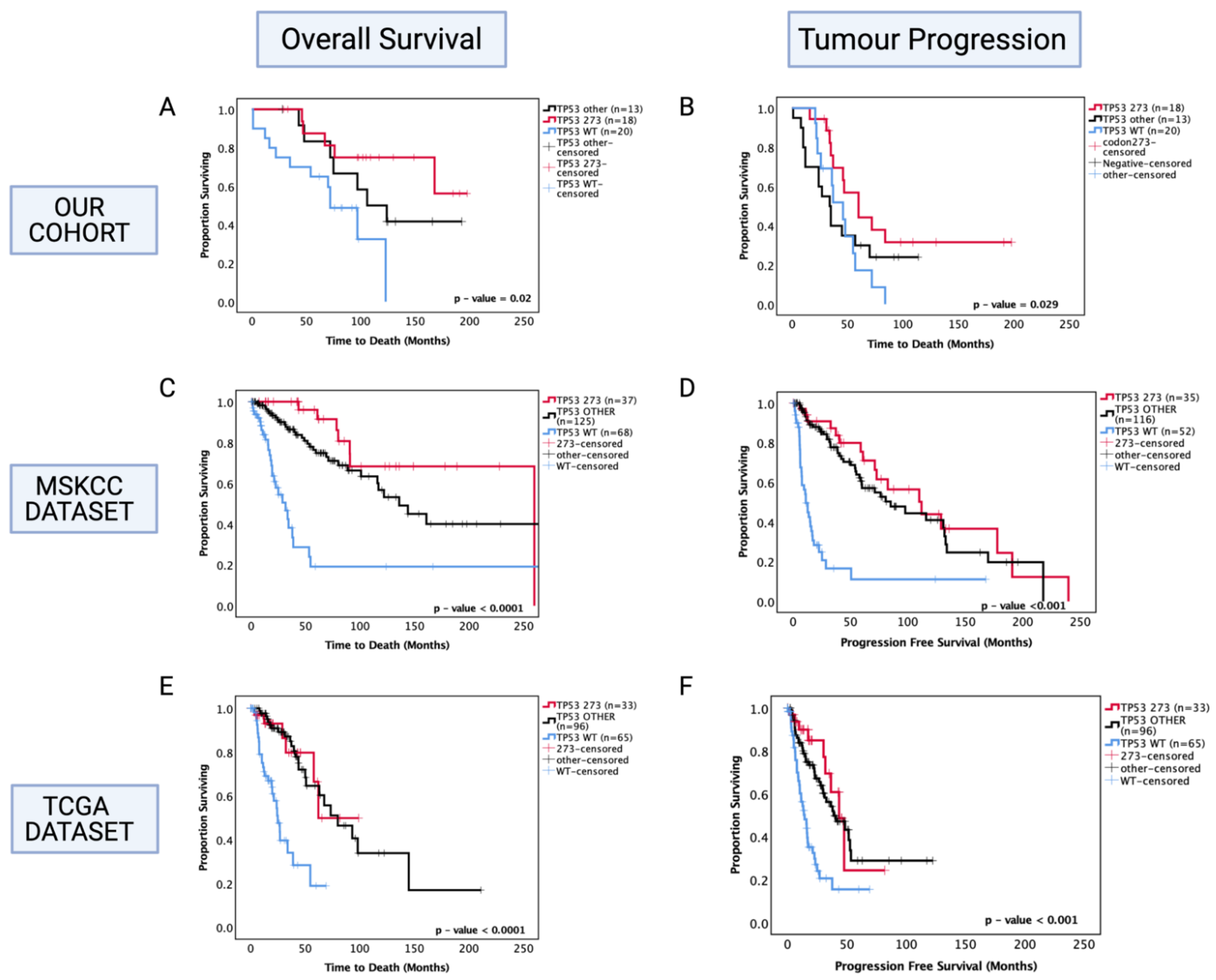 Cancers 13 05362 g003 Cancers 13 05362 g003