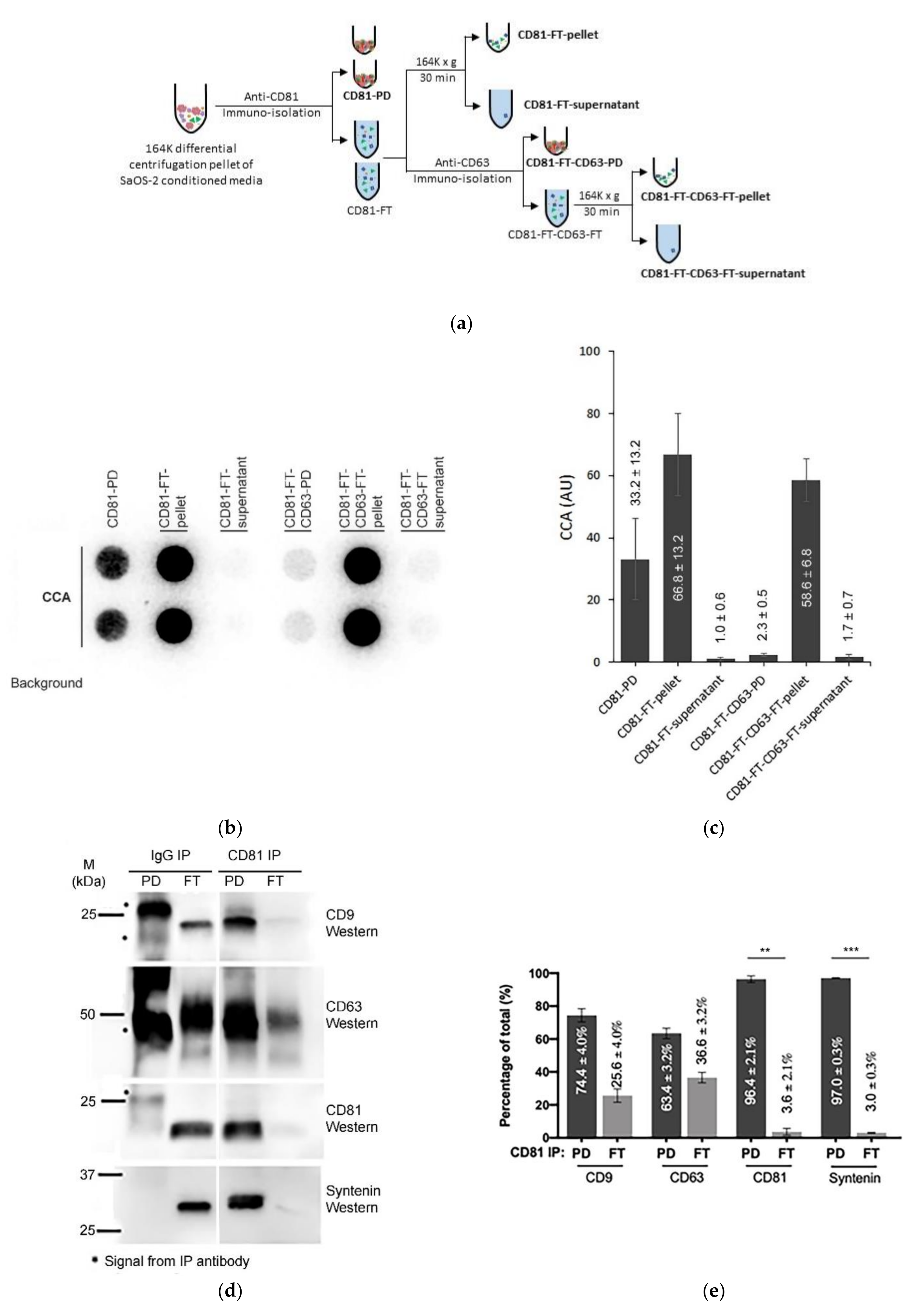 Cancers 13 05369 g005a