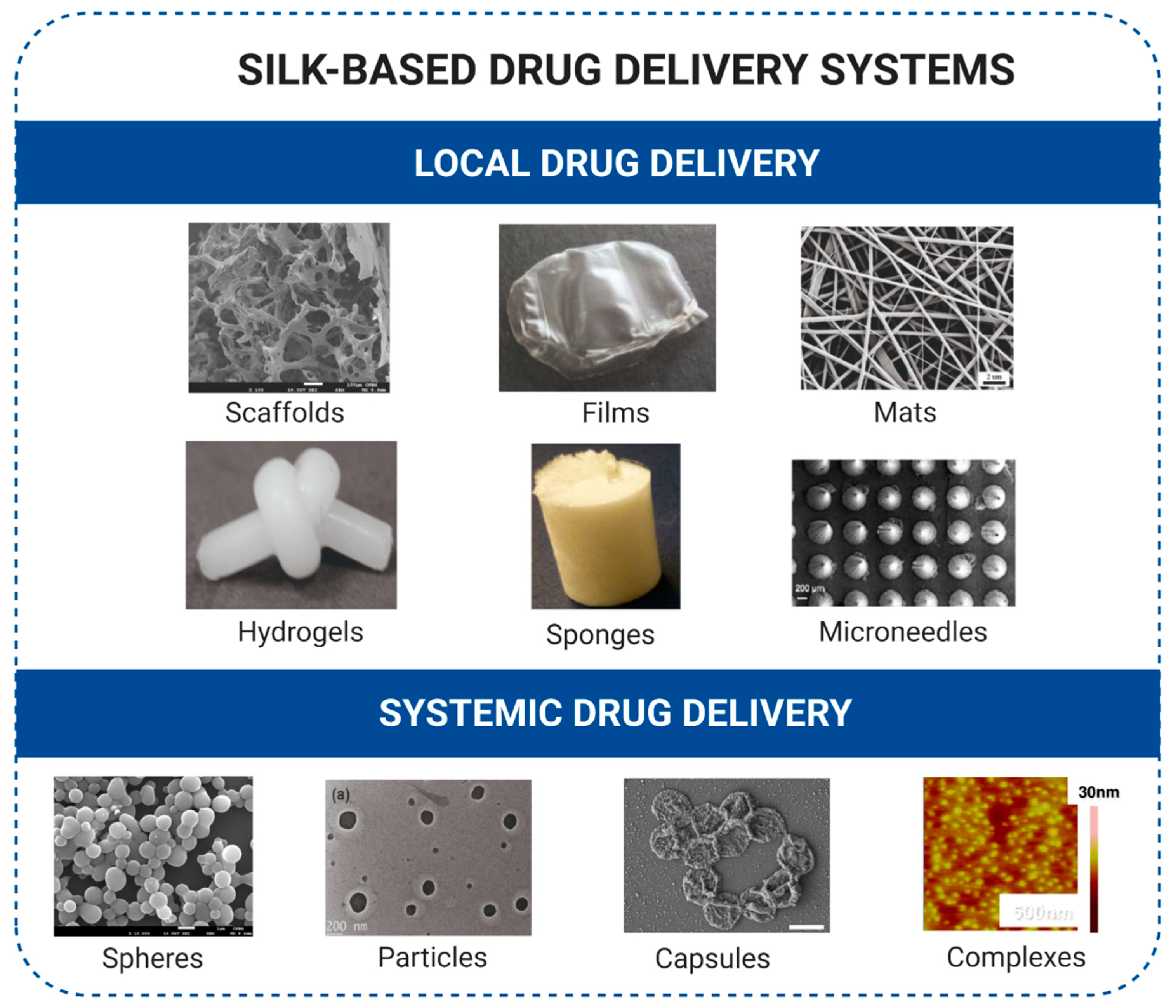 Cancers 13 05389 g002 Cancers 13 05389 g002