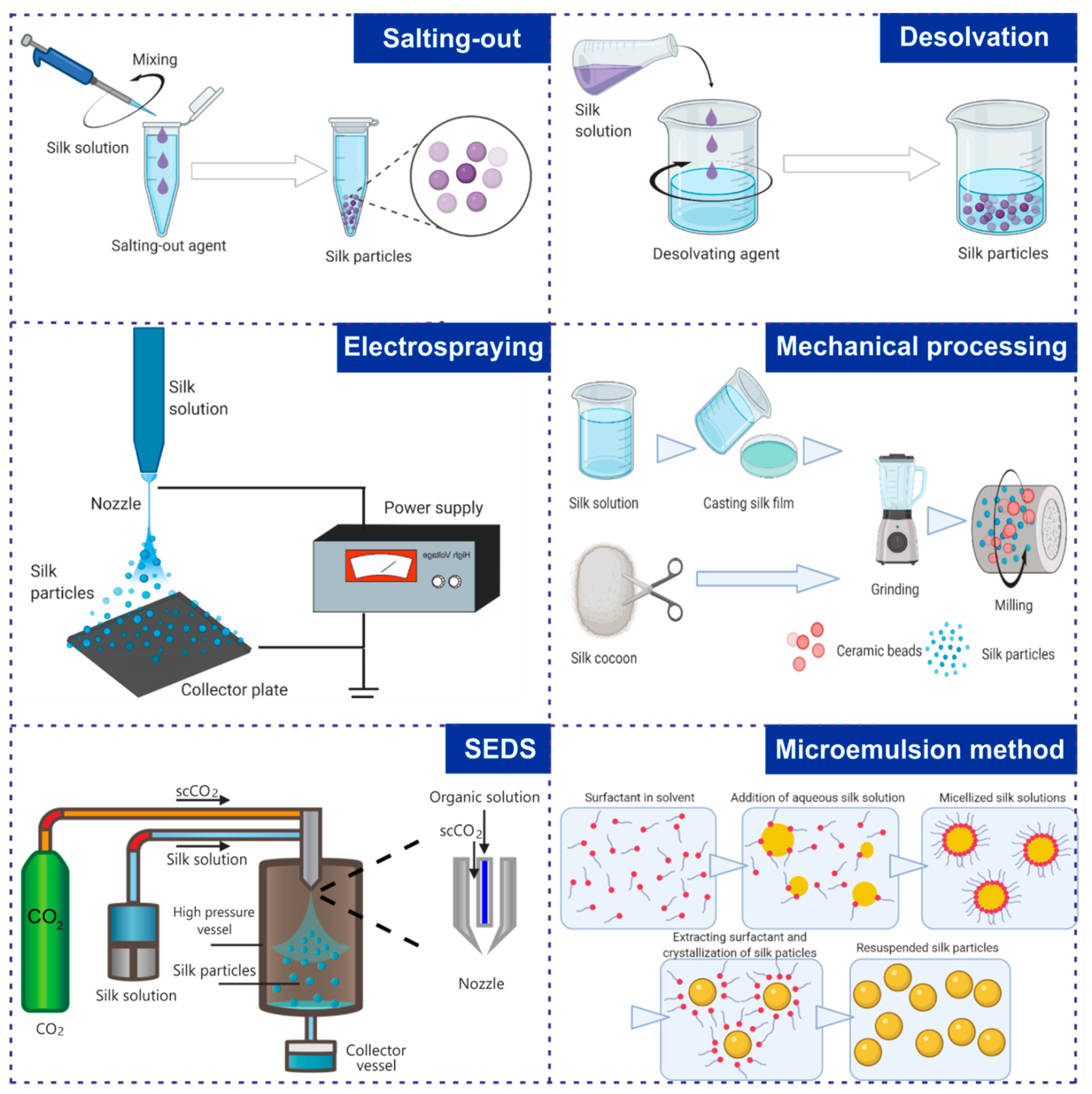 Cancers 13 05389 g003 Cancers 13 05389 g003