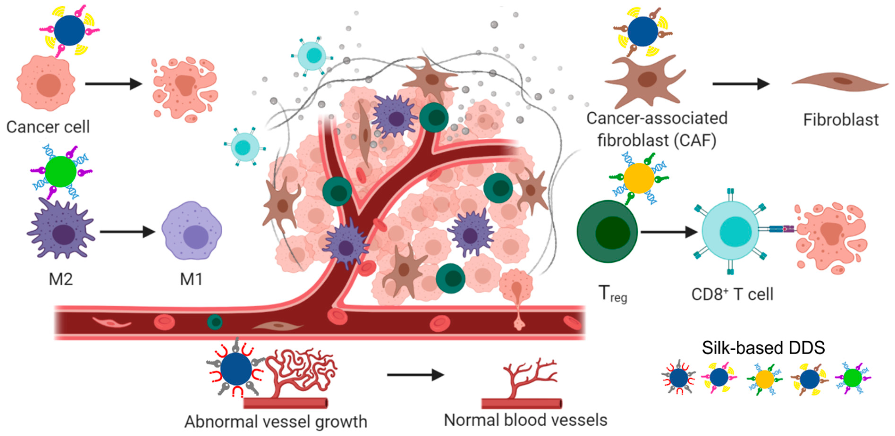 Cancers 13 05389 g005 Cancers 13 05389 g005
