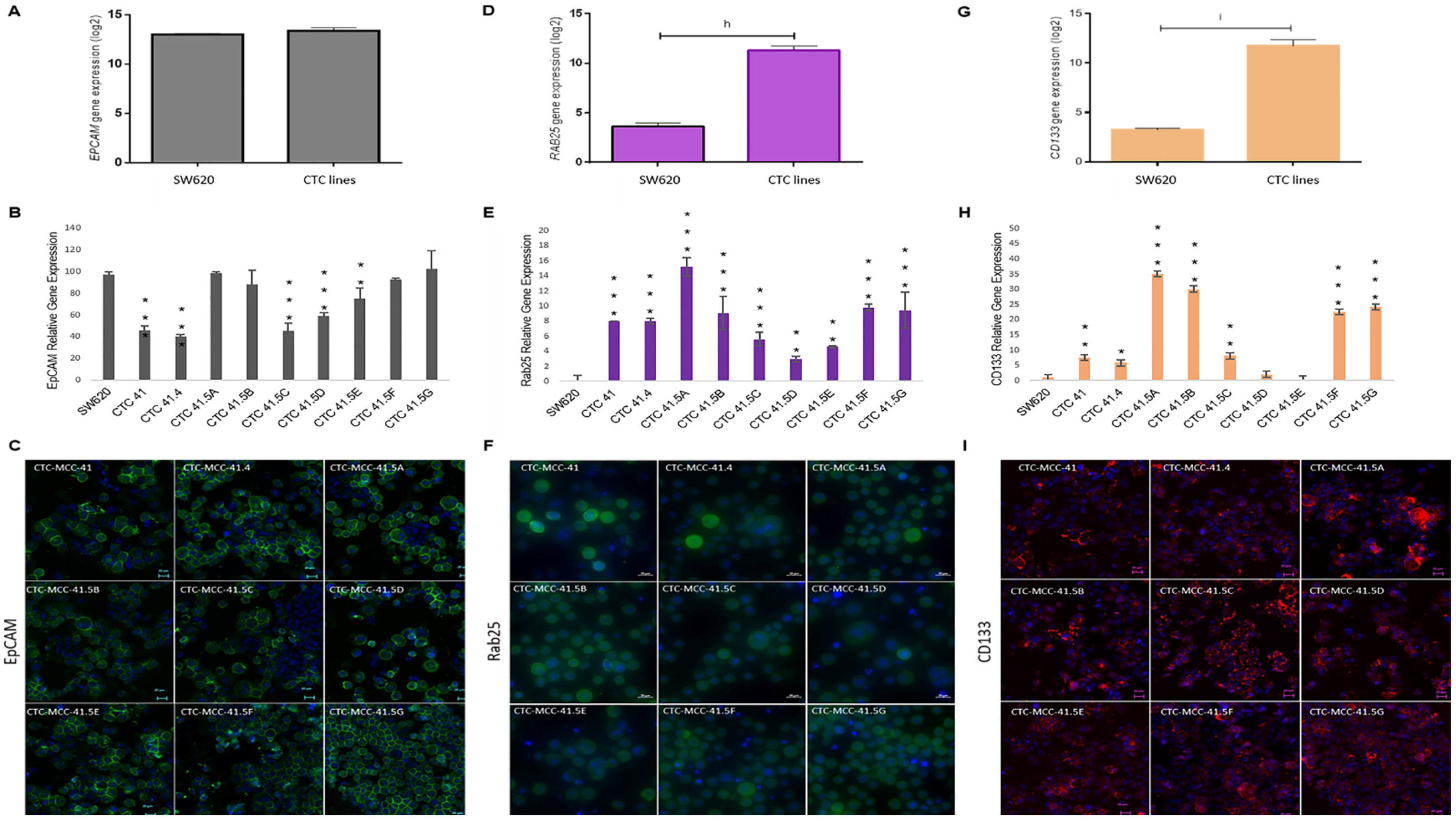 Cancers 13 05408 g004 Cancers 13 05408 g004