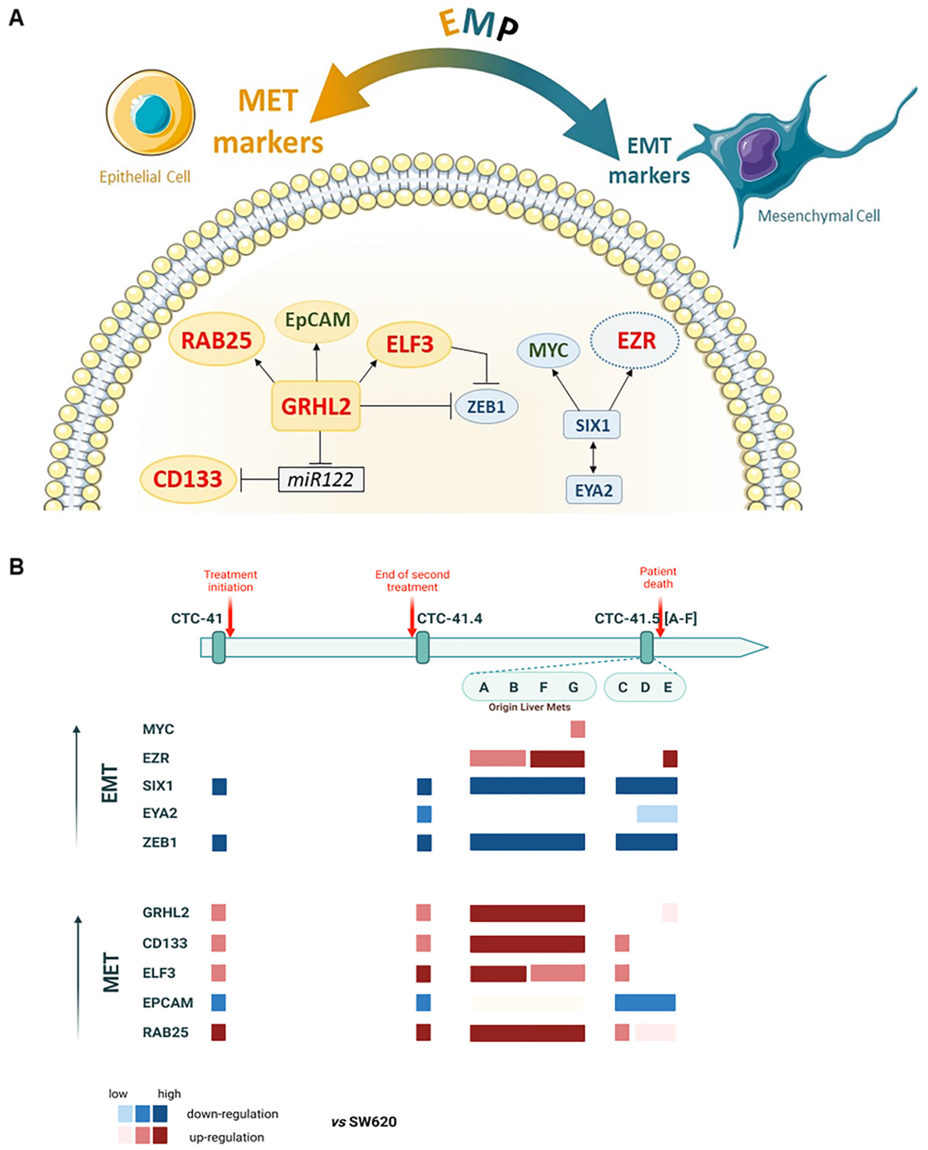 Cancers 13 05408 g006 Cancers 13 05408 g006