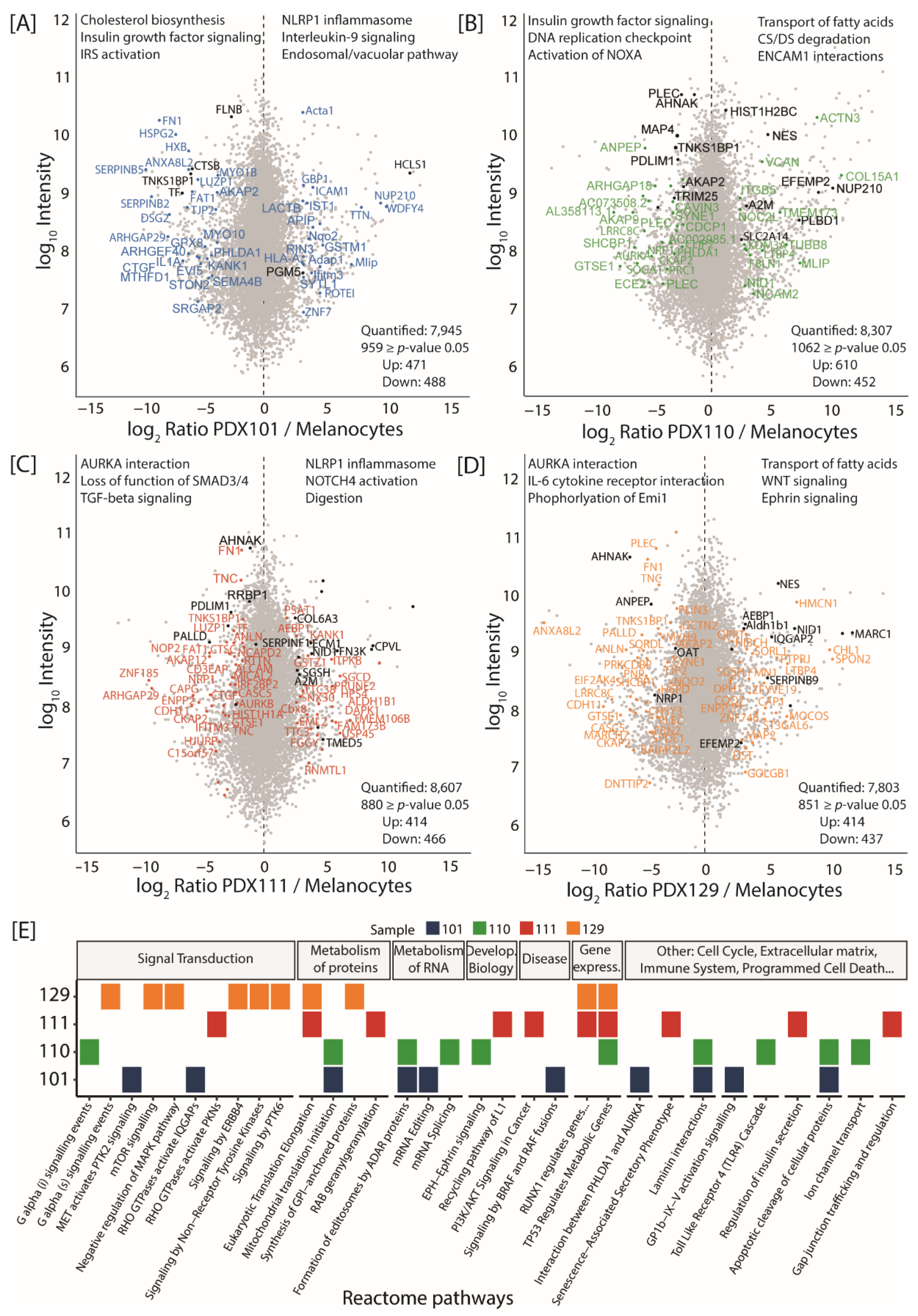 Cancers 13 05411 g002