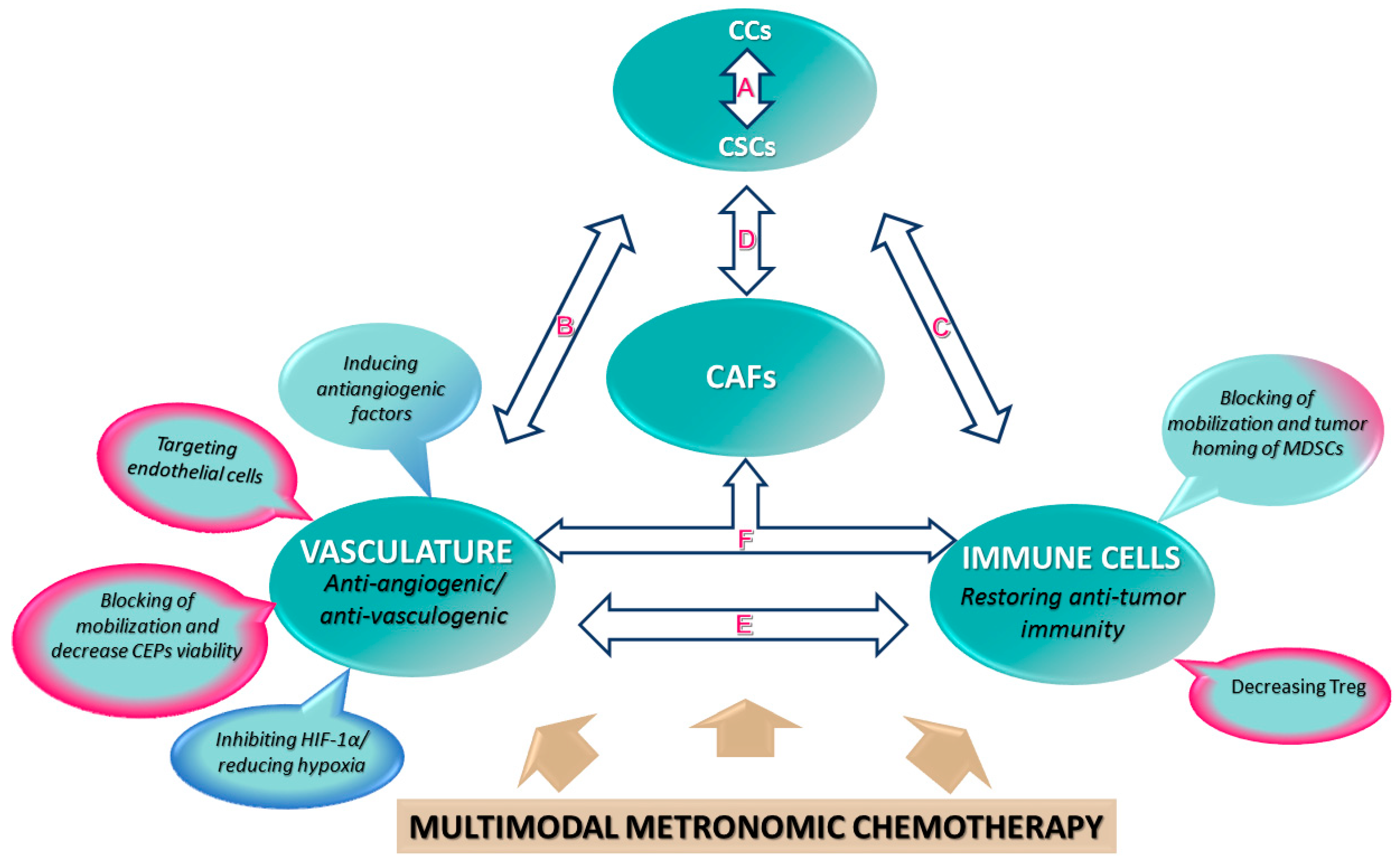 Cancers | Free Full-Text | Metronomic Anti-Cancer Therapy: A Multimodal  Therapy Governed by the Tumor Microenvironment | HTML