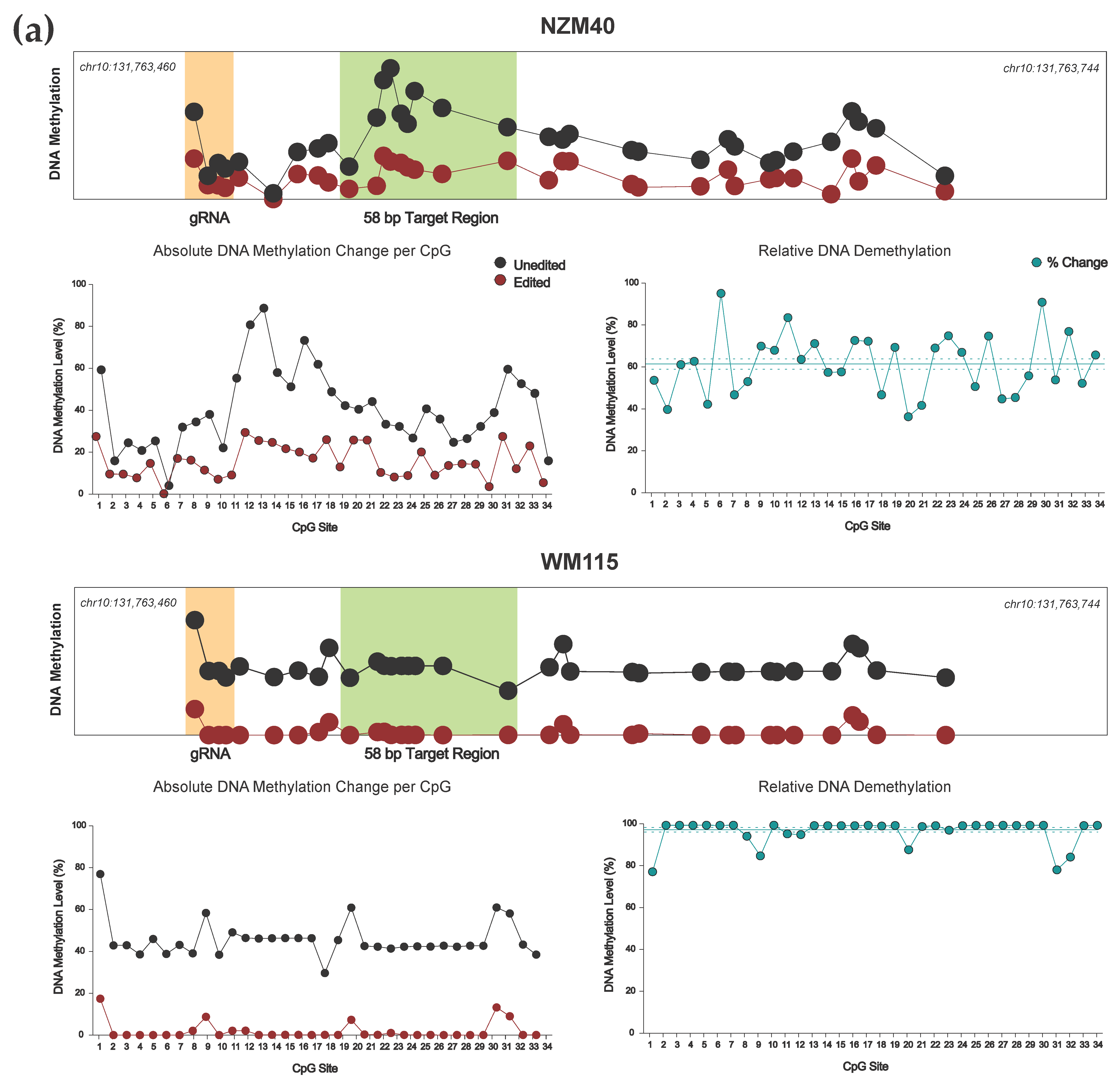 Cancers 13 05433 g004a