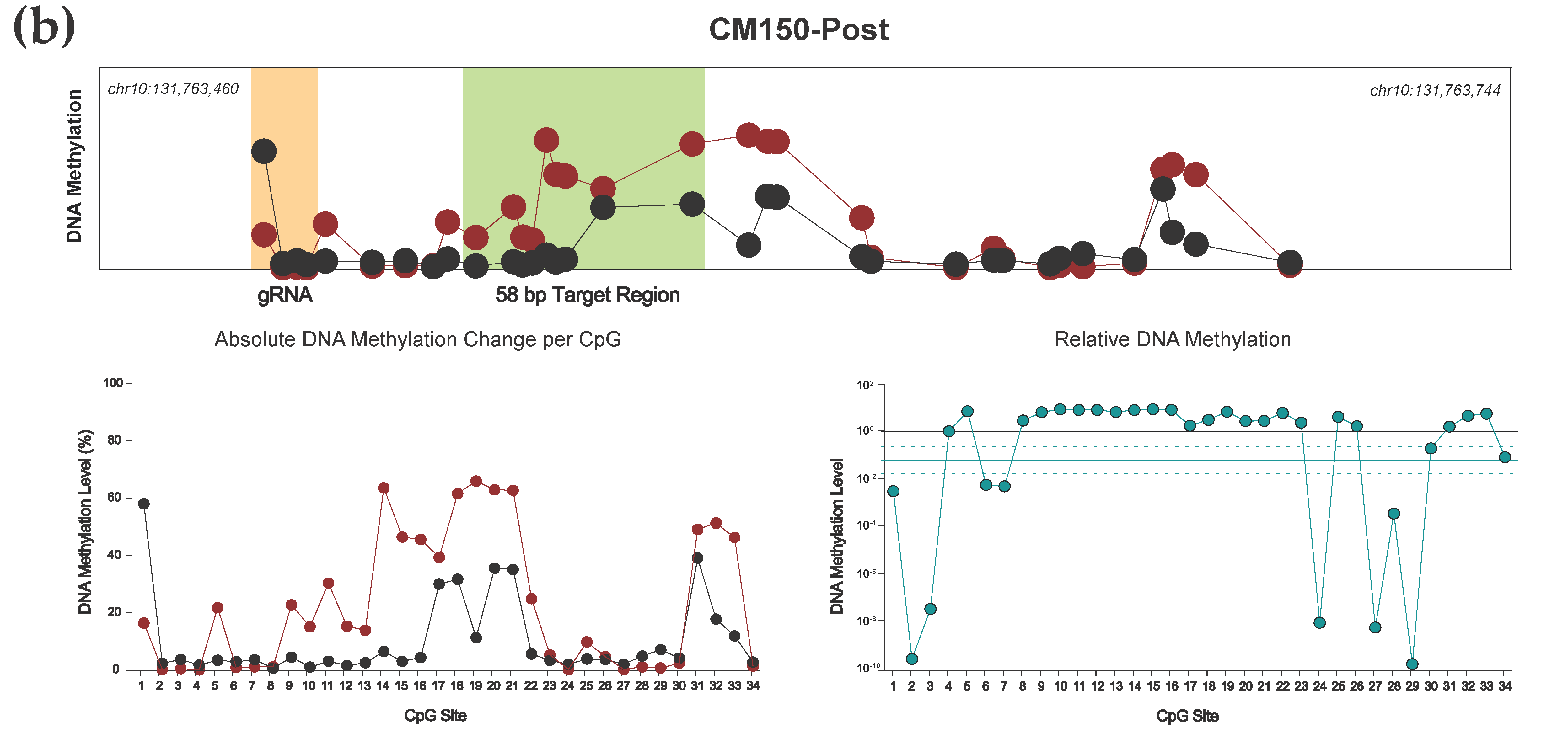 Cancers 13 05433 g004b