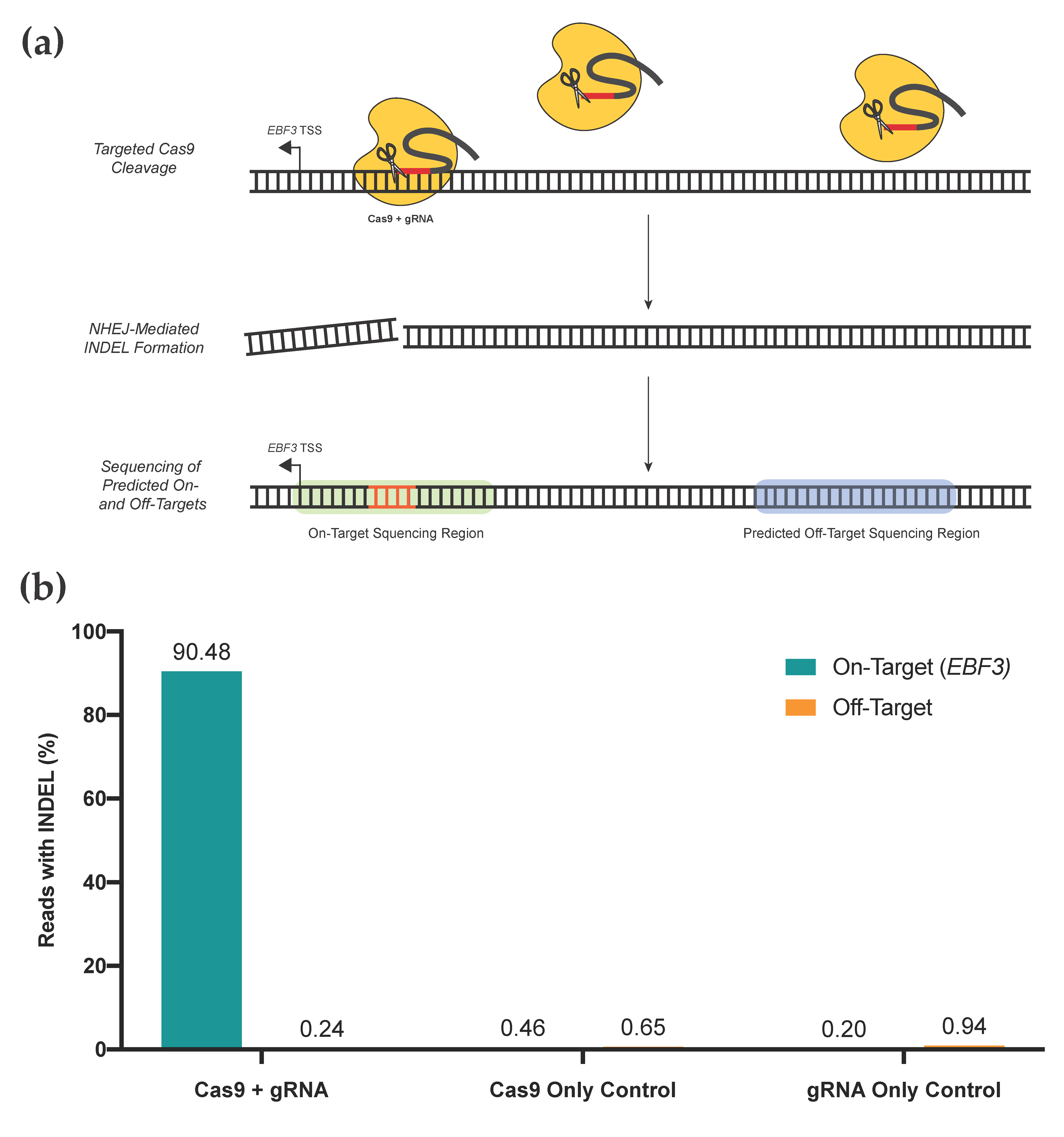 Cancers 13 05433 g005