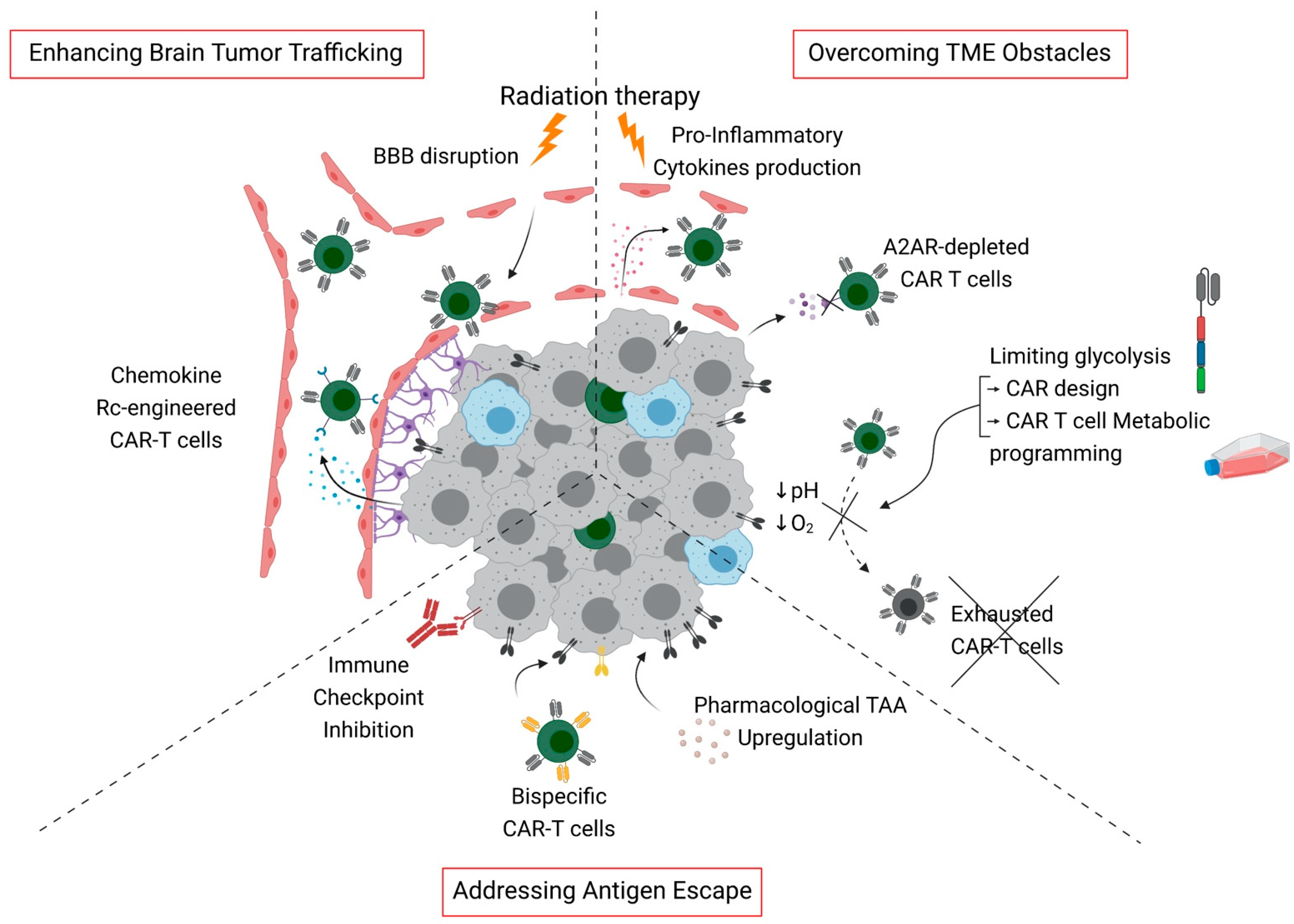 Cancers 13 05445 g001