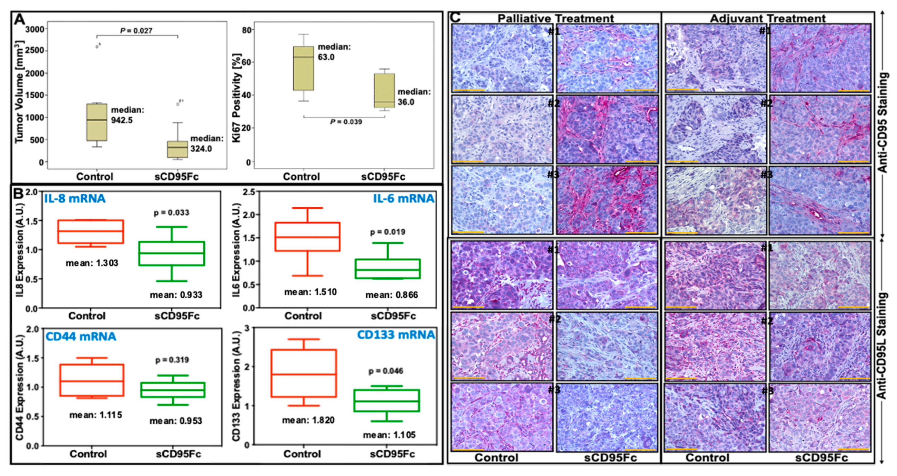 Cancers 13 05458 g008 Cancers 13 05458 g008