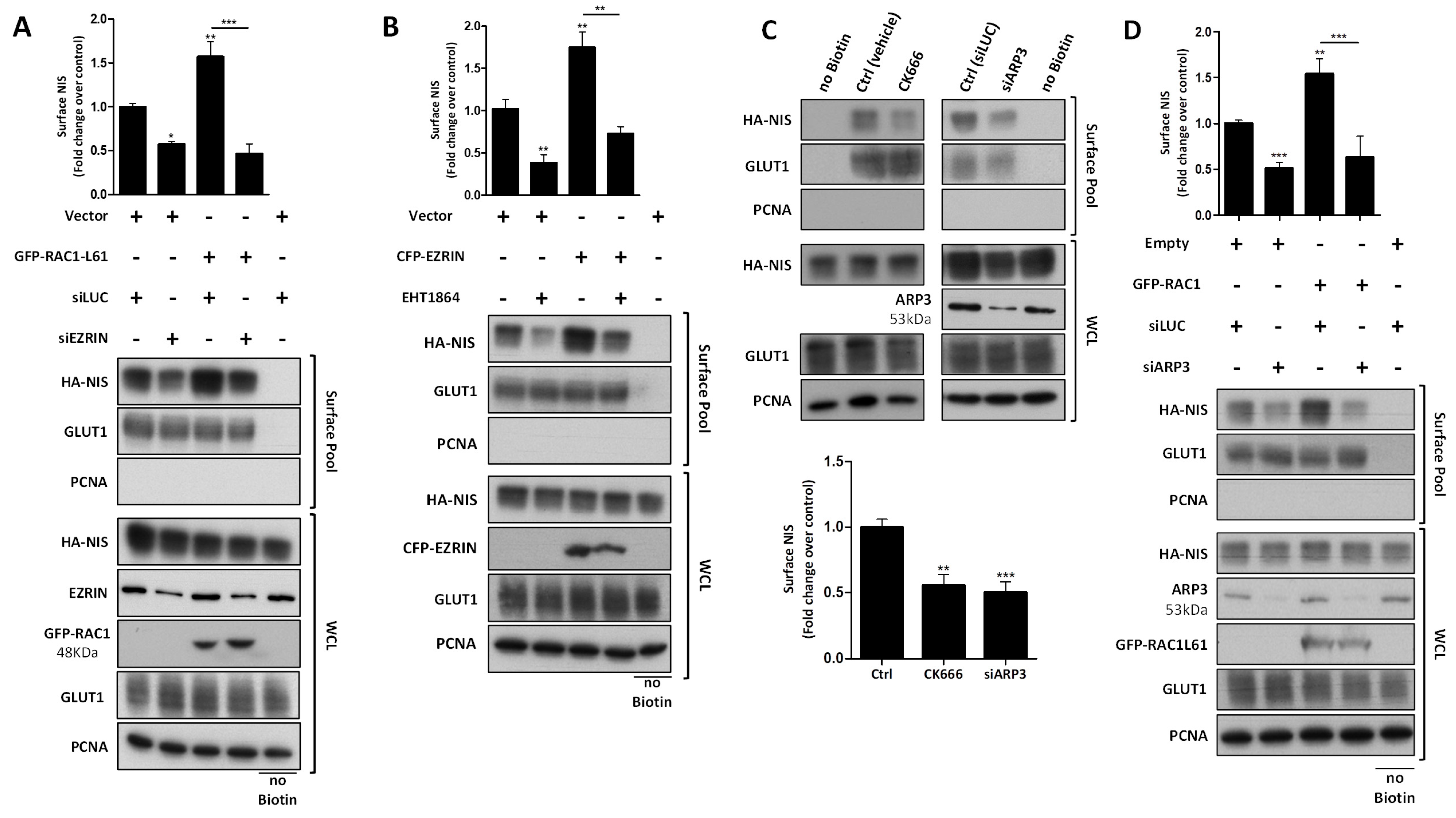 Cancers 13 05460 g006 Cancers 13 05460 g006