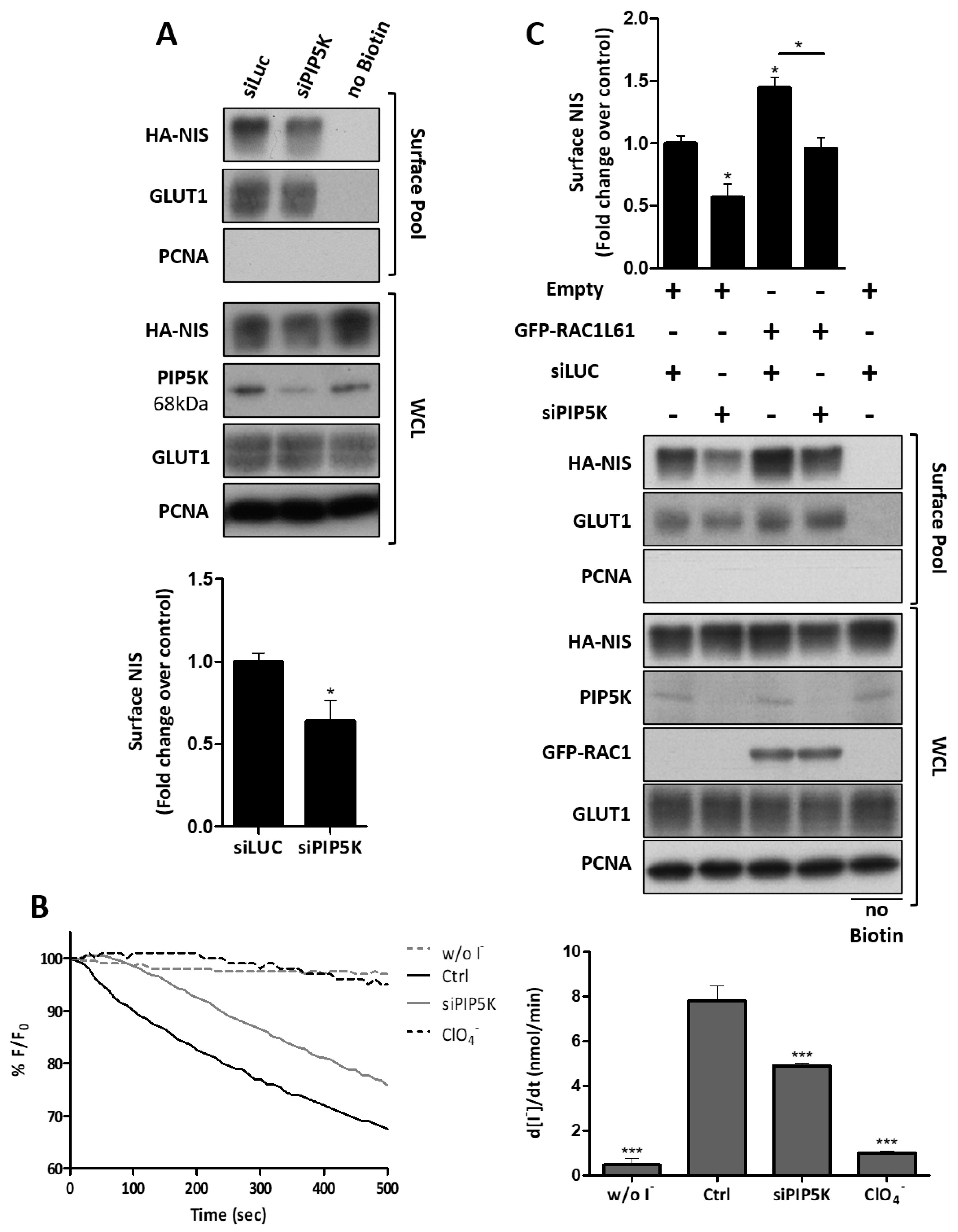 Cancers 13 05460 g008 Cancers 13 05460 g008