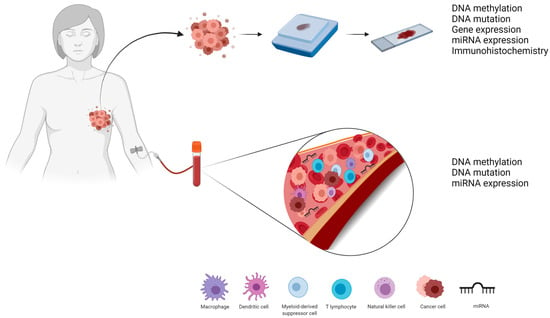 Cancers | Free Full-Text | Molecular Biomarkers Predict Pathological ...