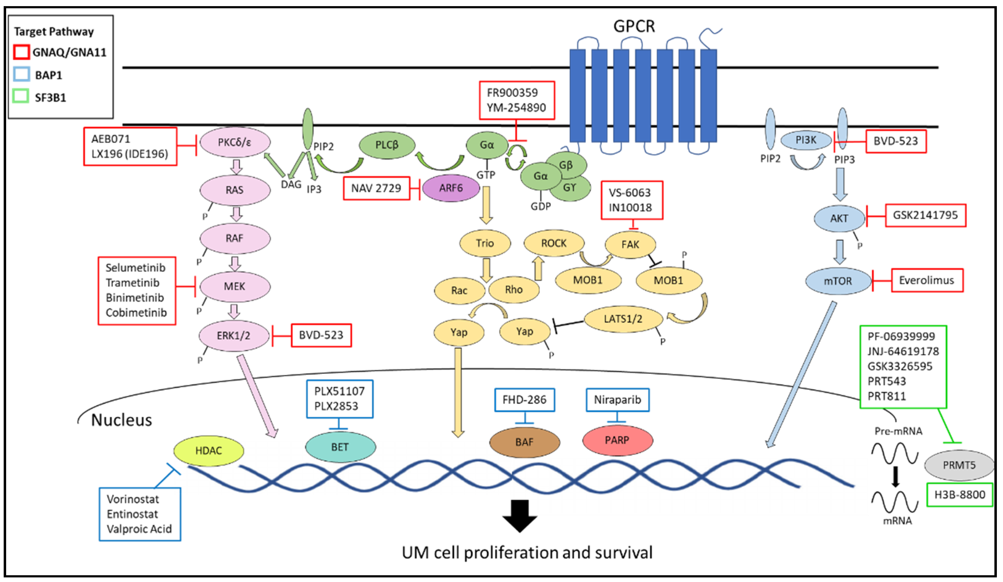 Cancers 13 05503 g002 Cancers 13 05503 g002