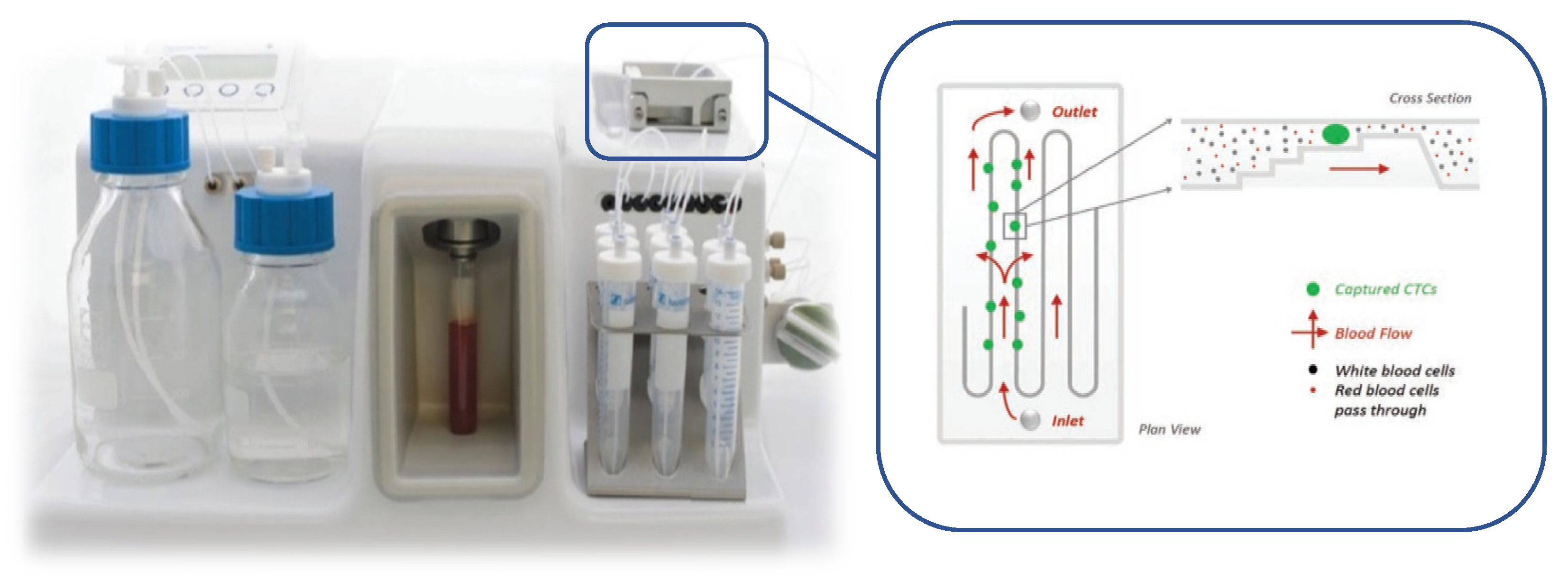 Cancers 13 05519 g001 Cancers 13 05519 g001