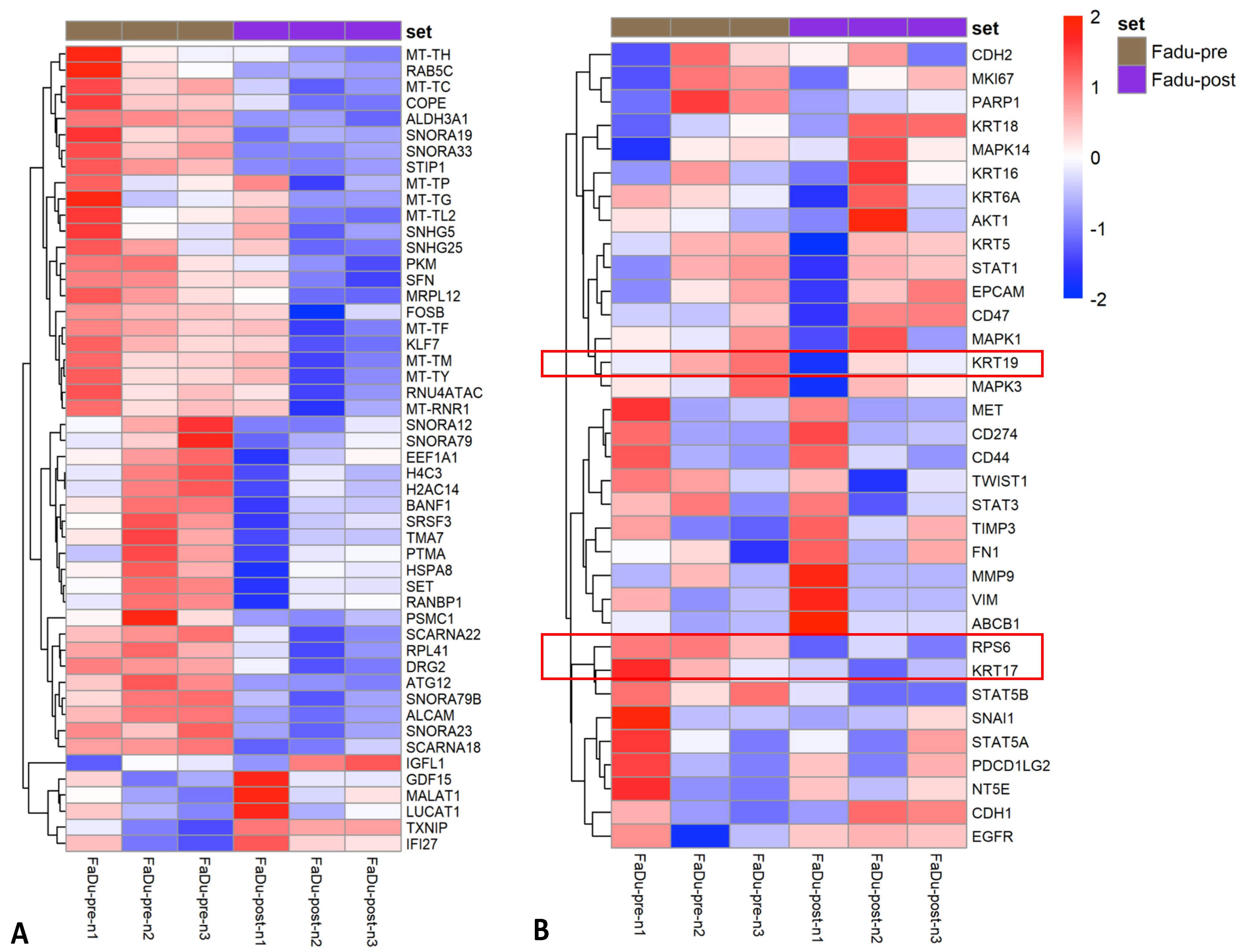 Cancers 13 05519 g004 Cancers 13 05519 g004