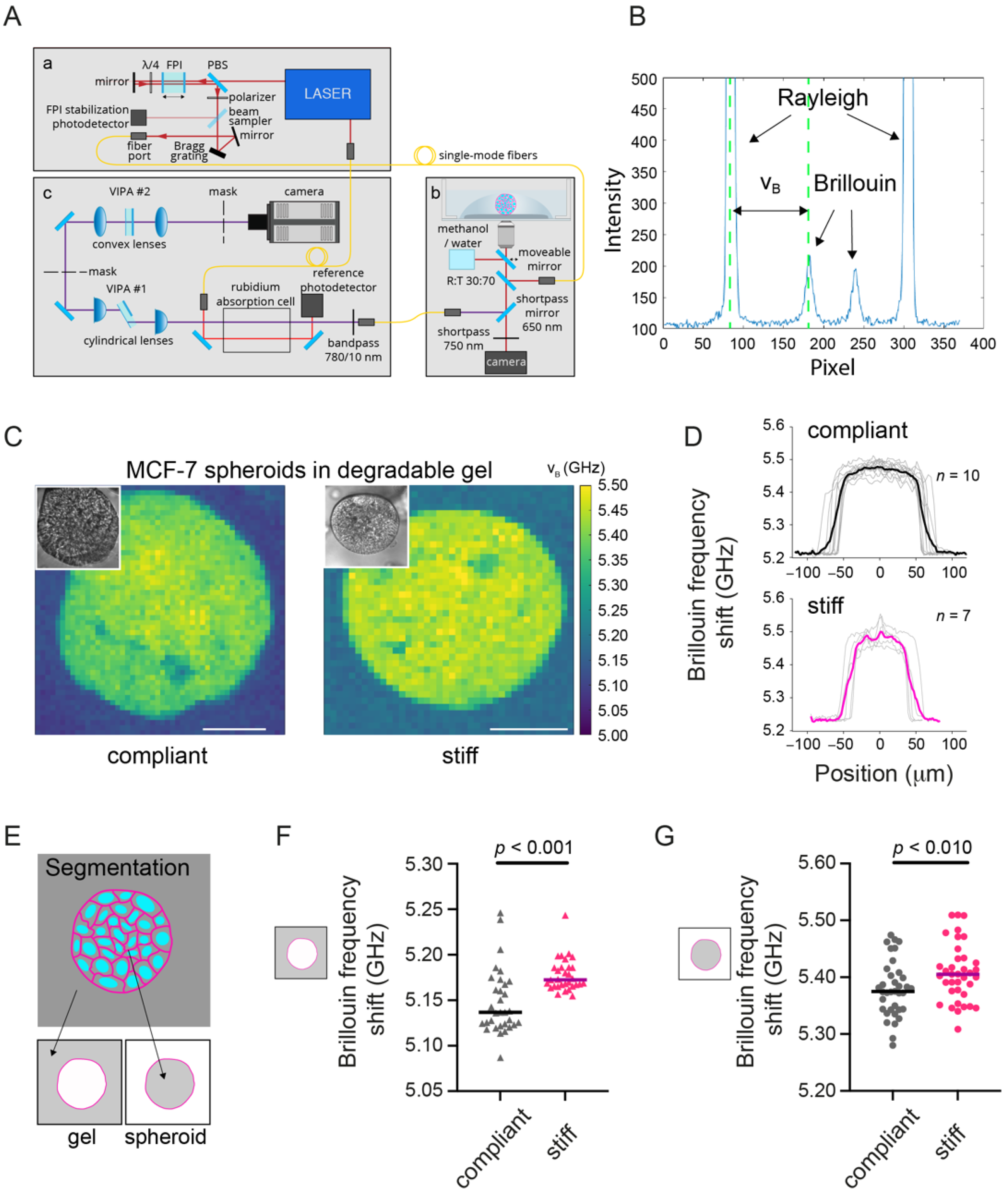 Cancers 13 05549 g002