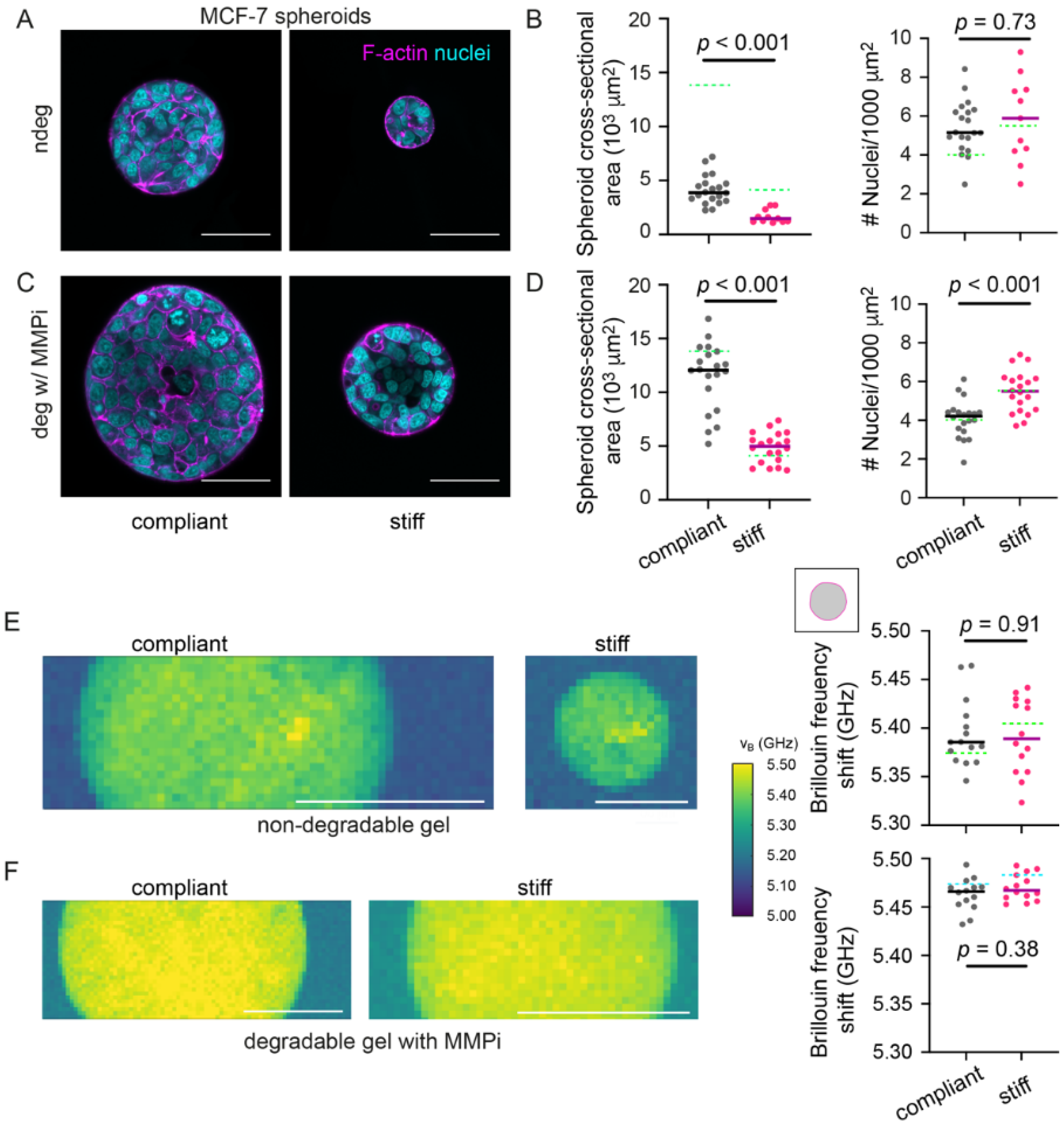 Cancers 13 05549 g003