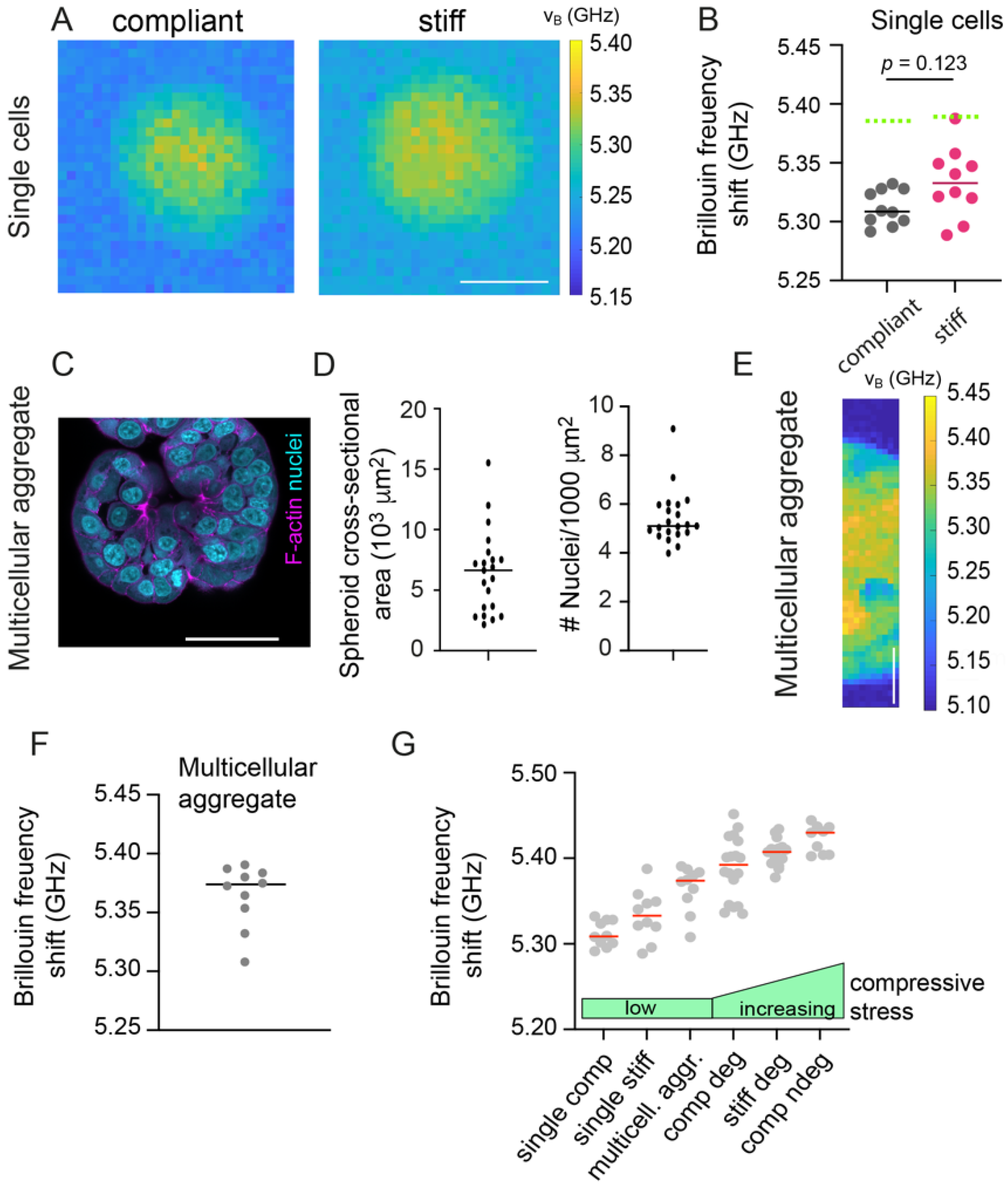 Cancers 13 05549 g004