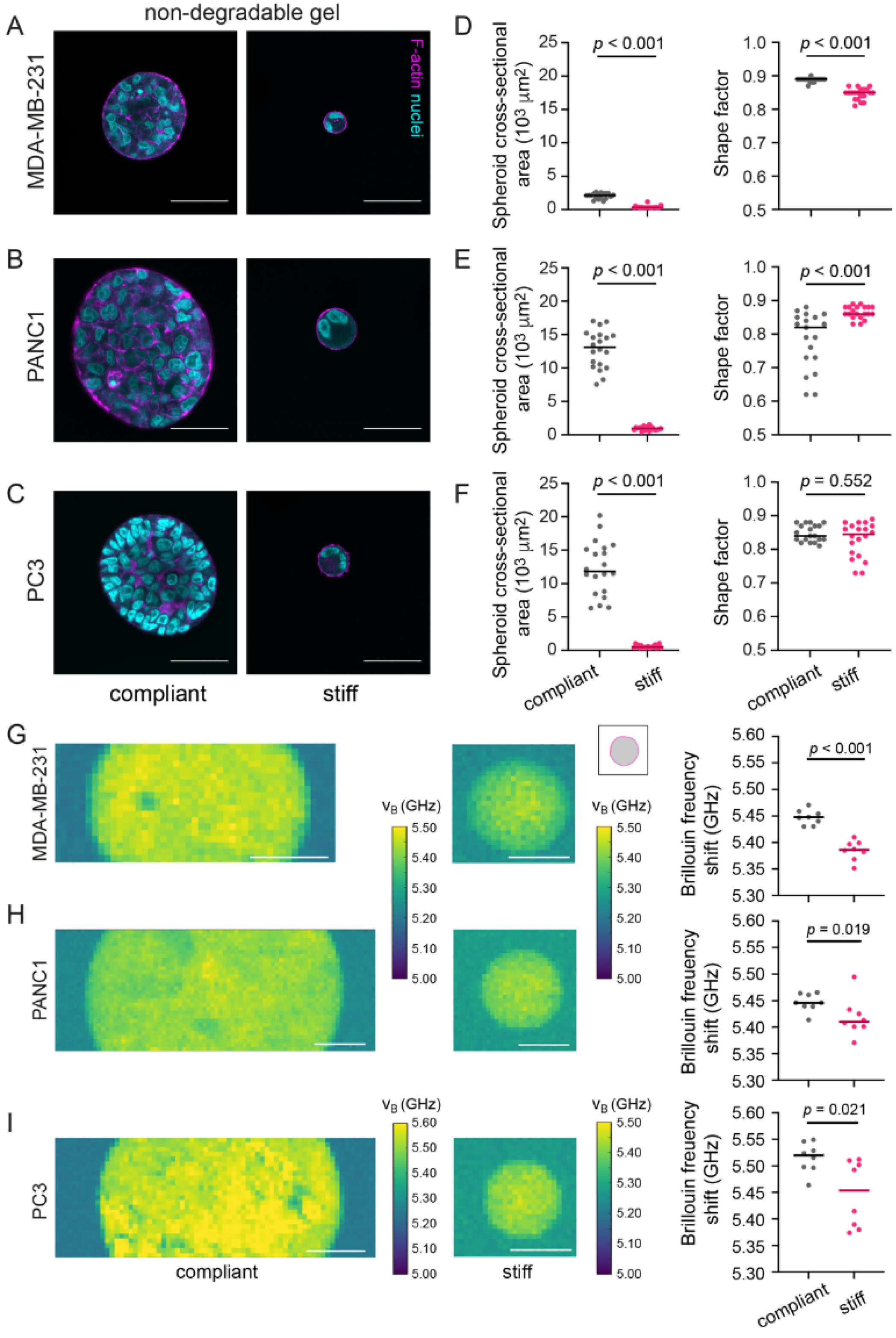 Cancers 13 05549 g005