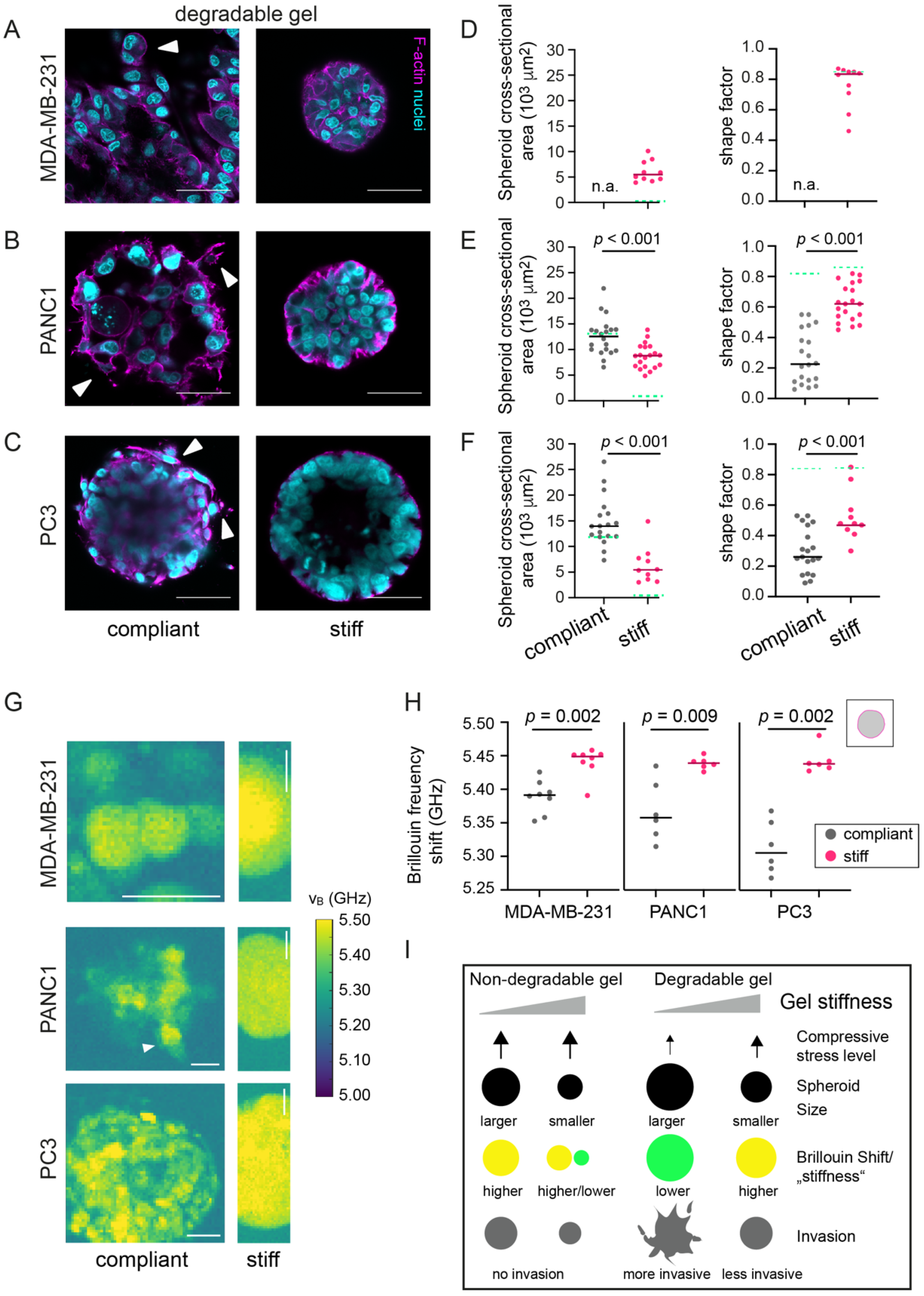 Cancers 13 05549 g006