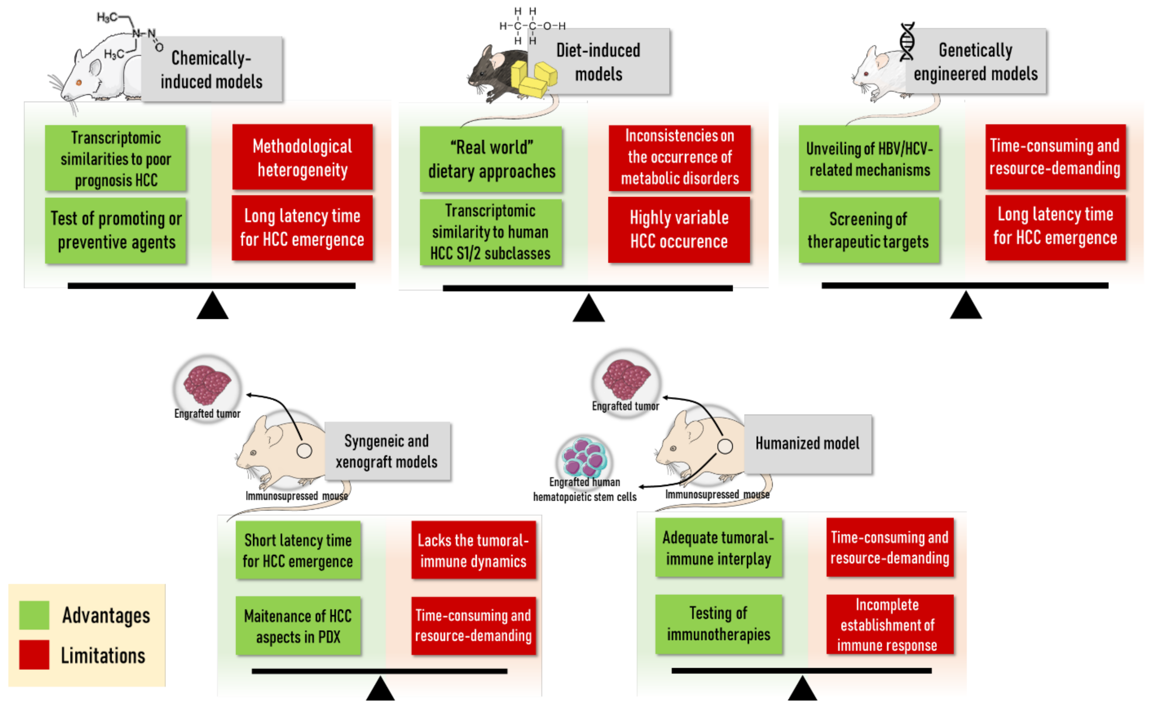Cancers 13 05583 g005 Cancers 13 05583 g005