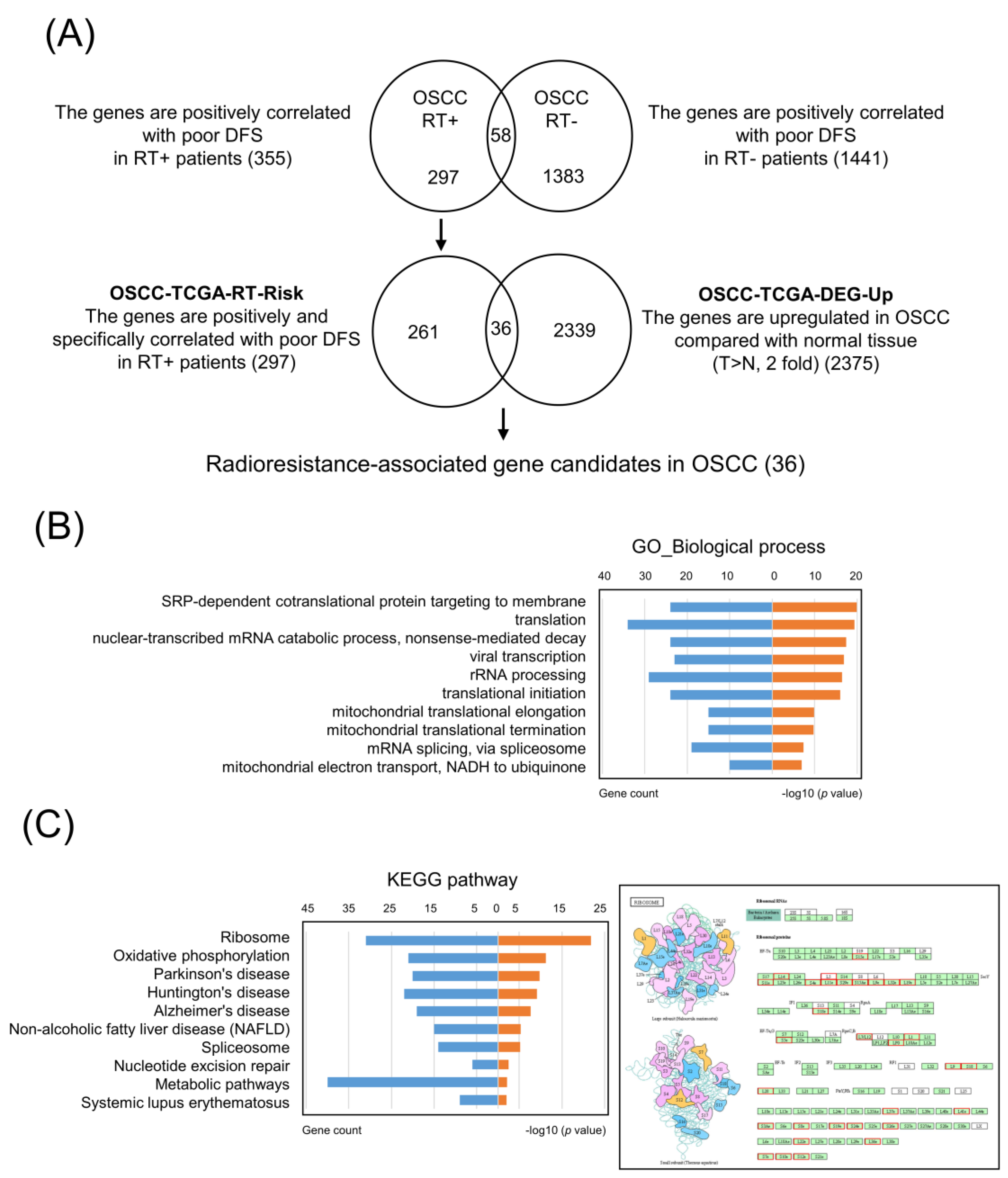 Cancers 13 05623 g001 Cancers 13 05623 g001