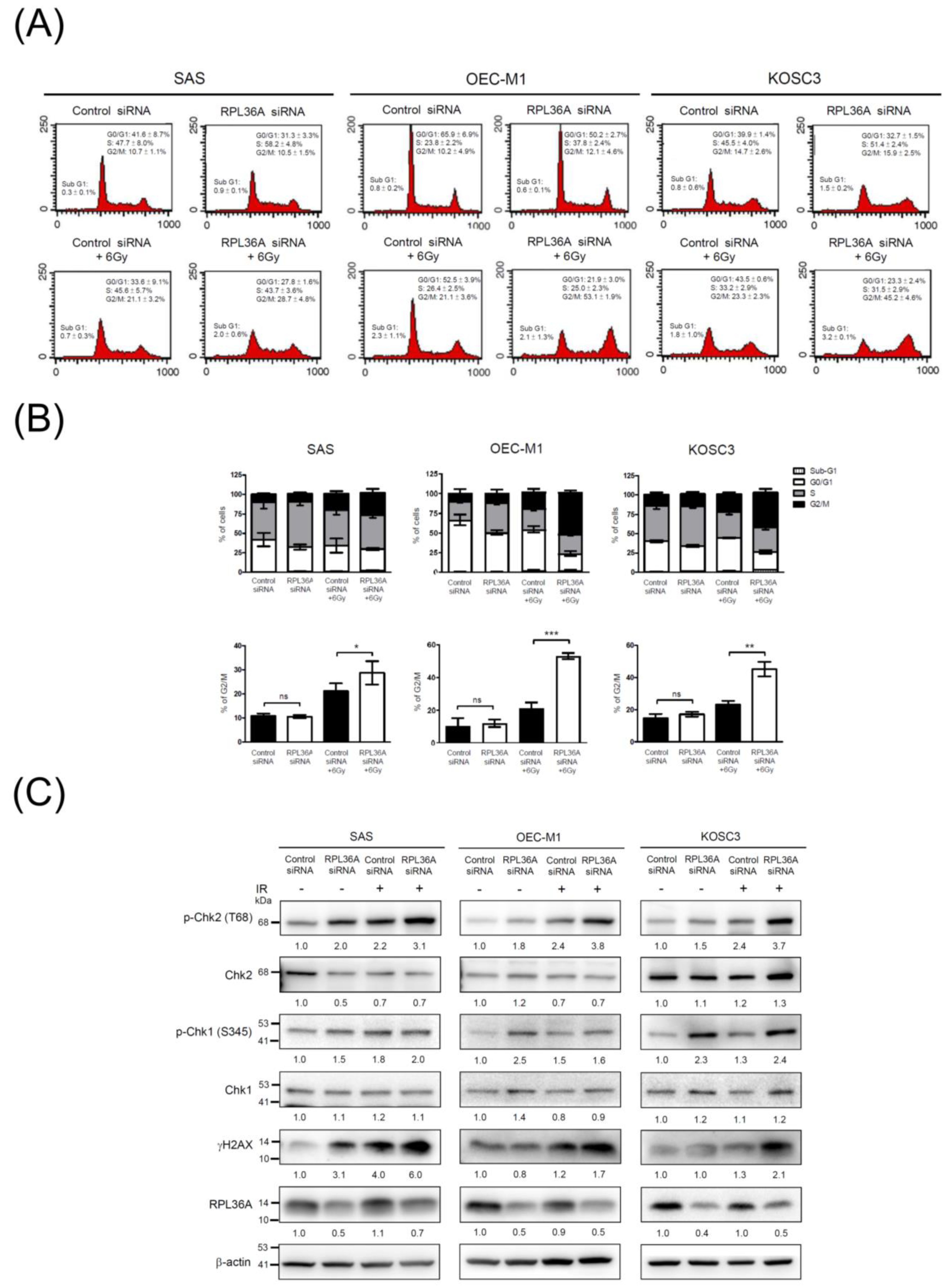 Cancers 13 05623 g004 Cancers 13 05623 g004