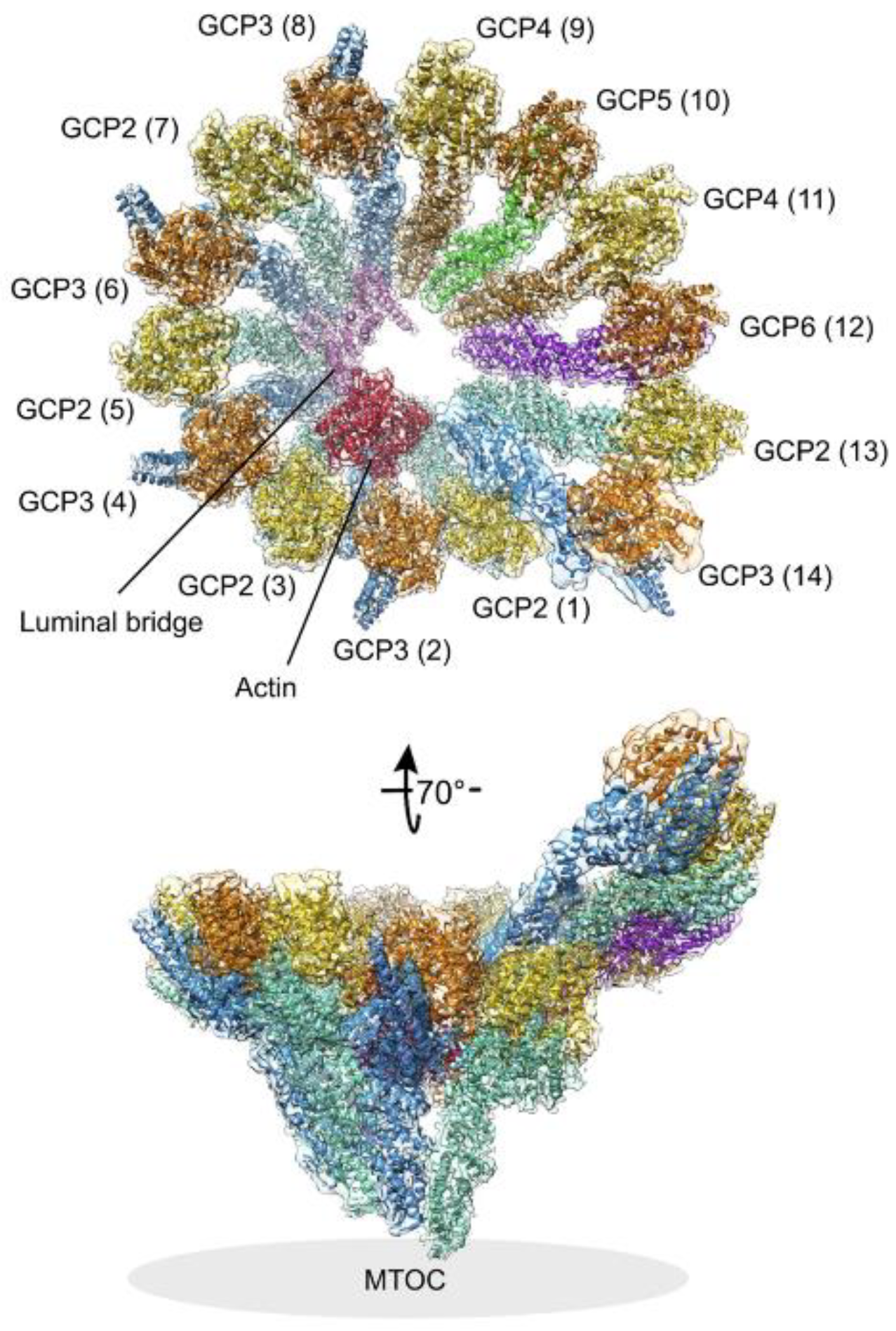 Cancers 13 05638 g002 Cancers 13 05638 g002