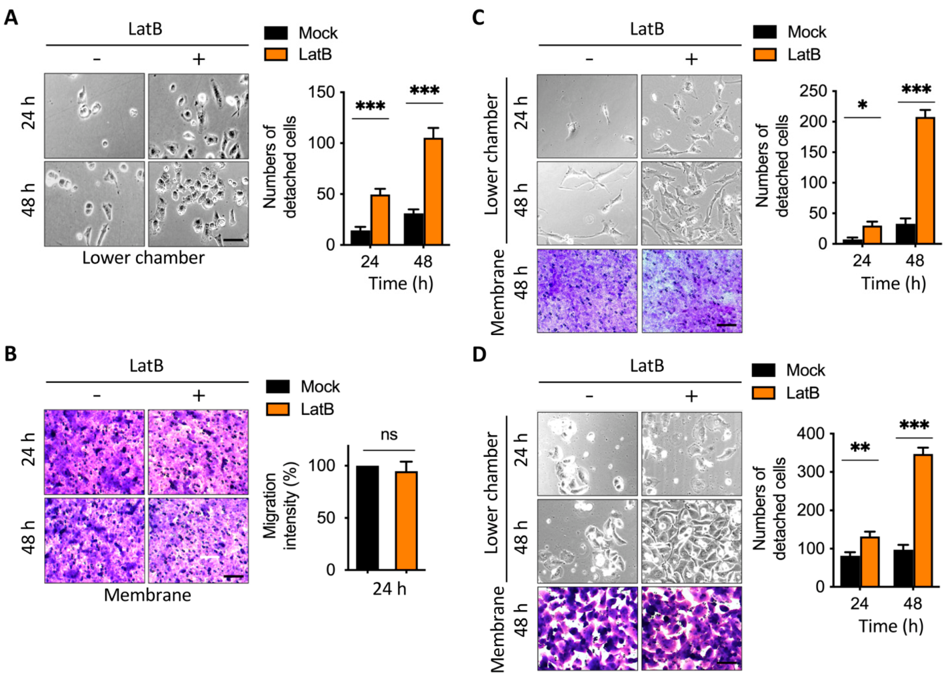 Cancers 13 05648 g004