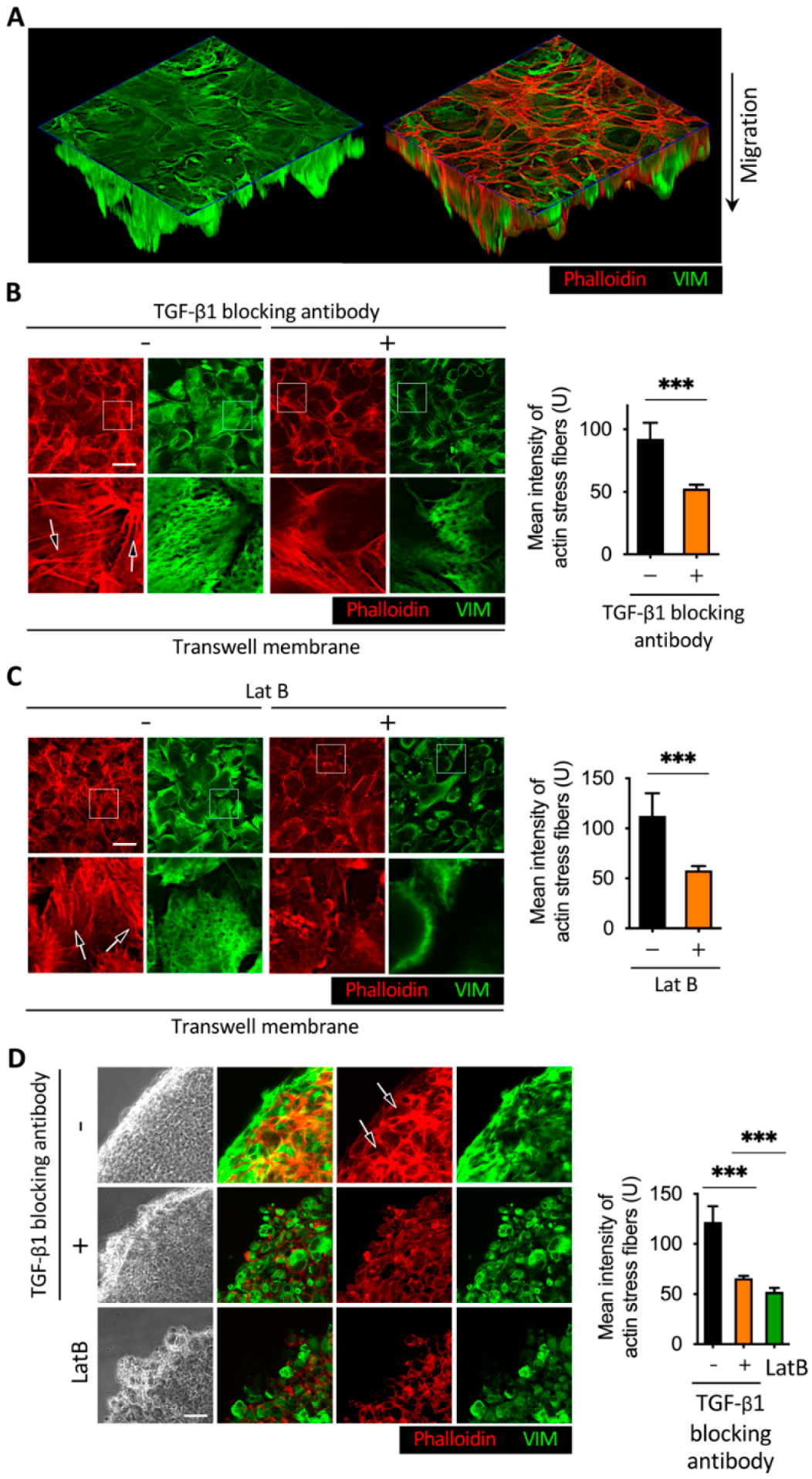 Cancers 13 05648 g006