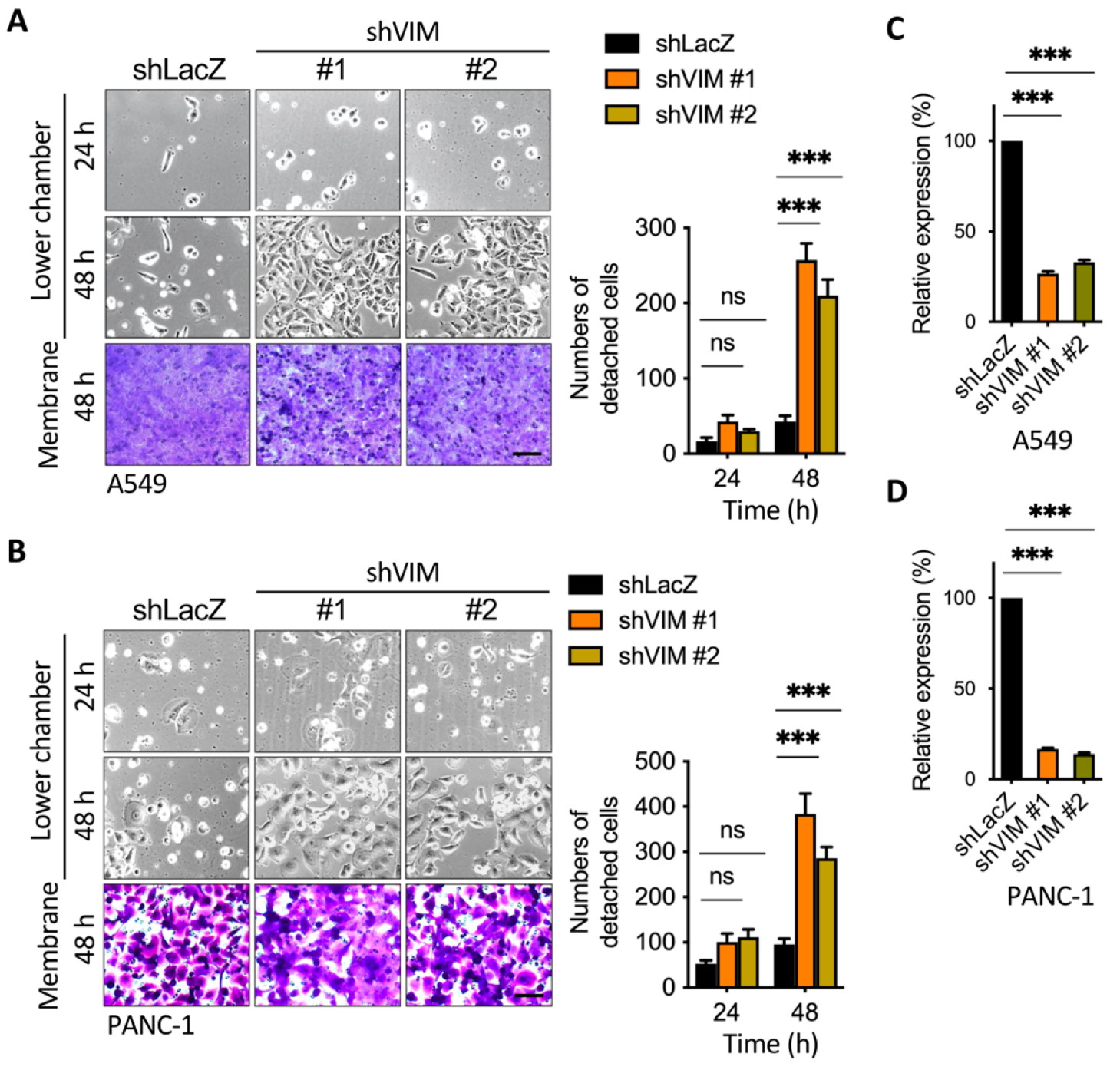 Cancers 13 05648 g007