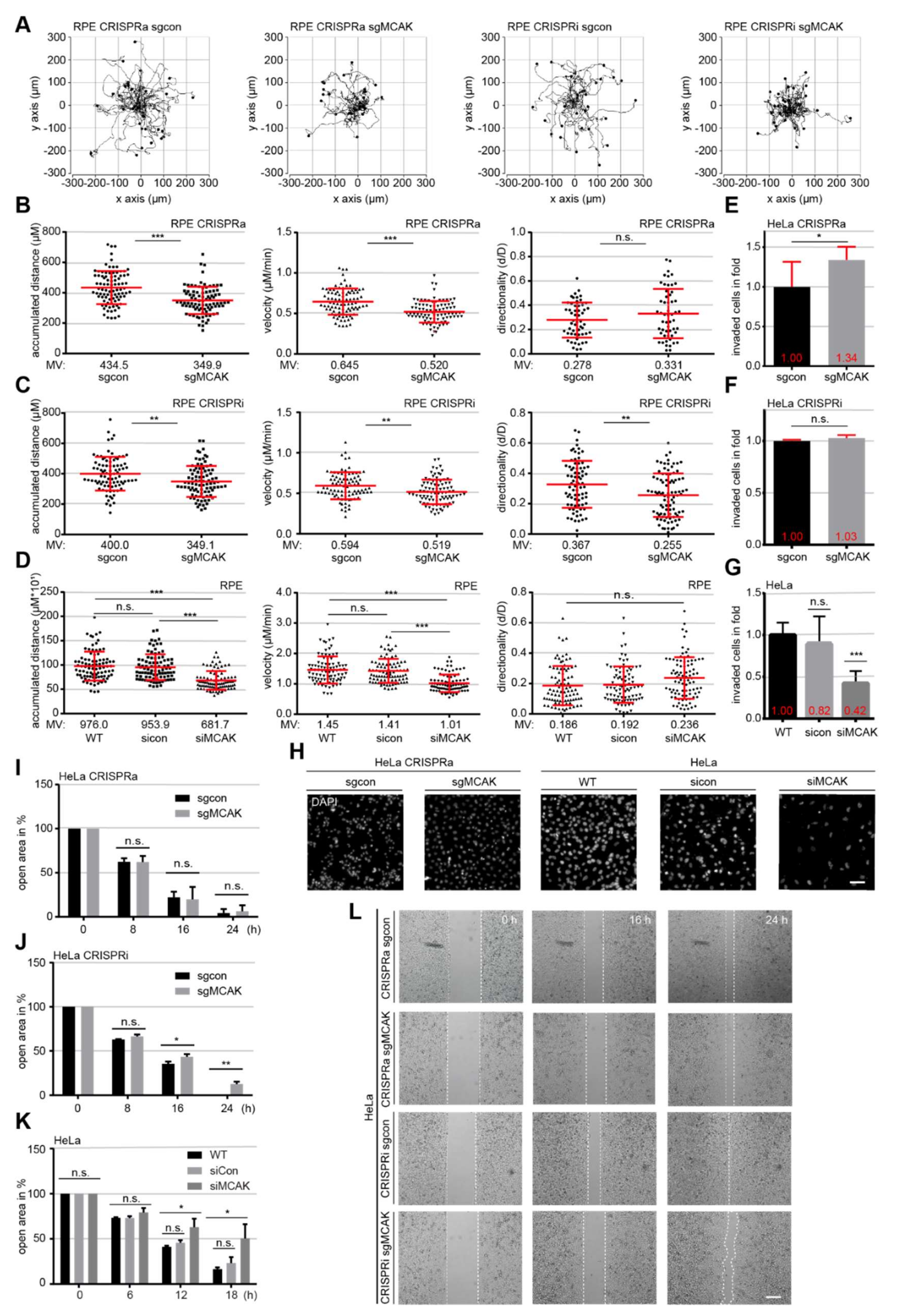 Cancers 13 05673 g002 Cancers 13 05673 g002