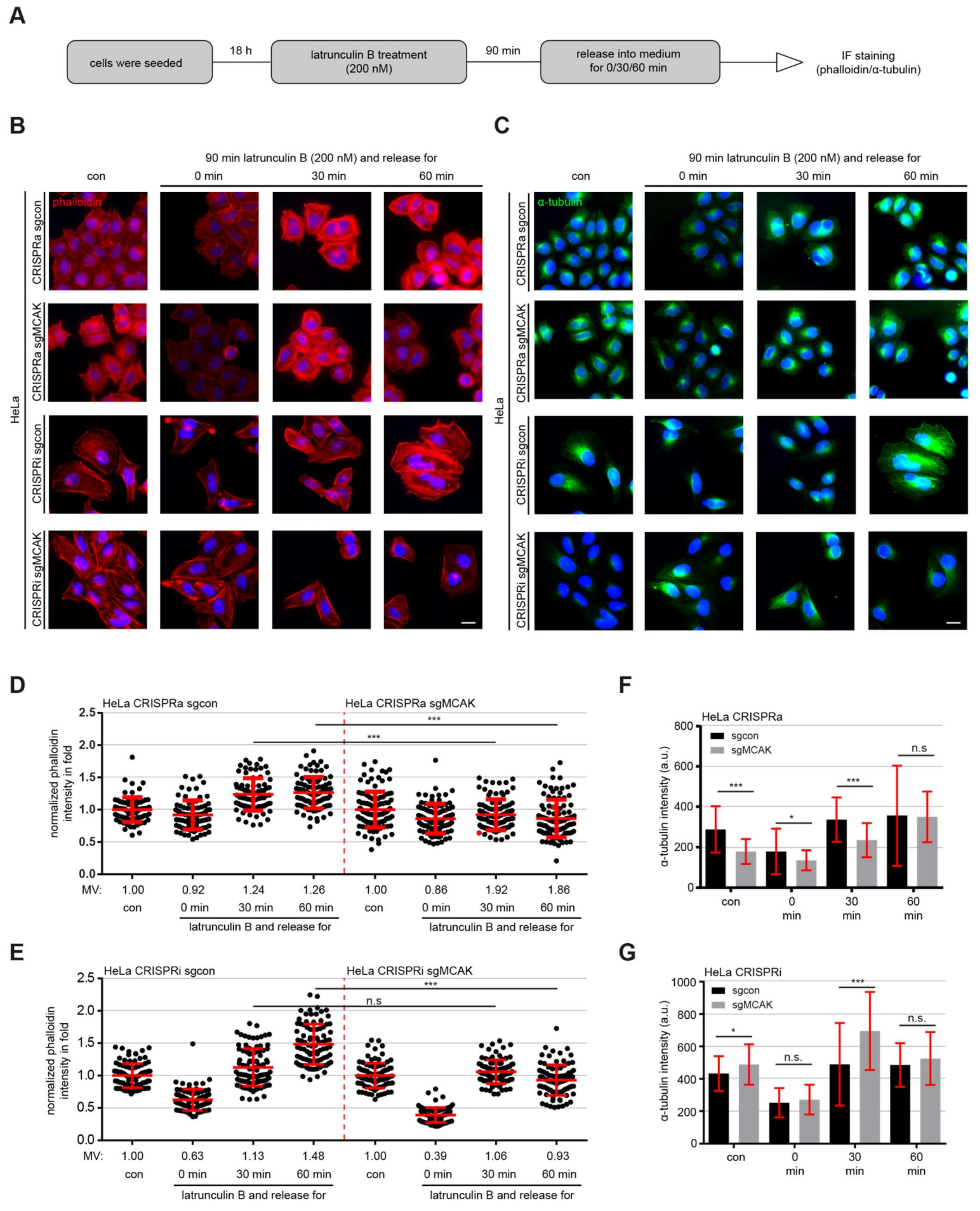 Cancers 13 05673 g005 Cancers 13 05673 g005