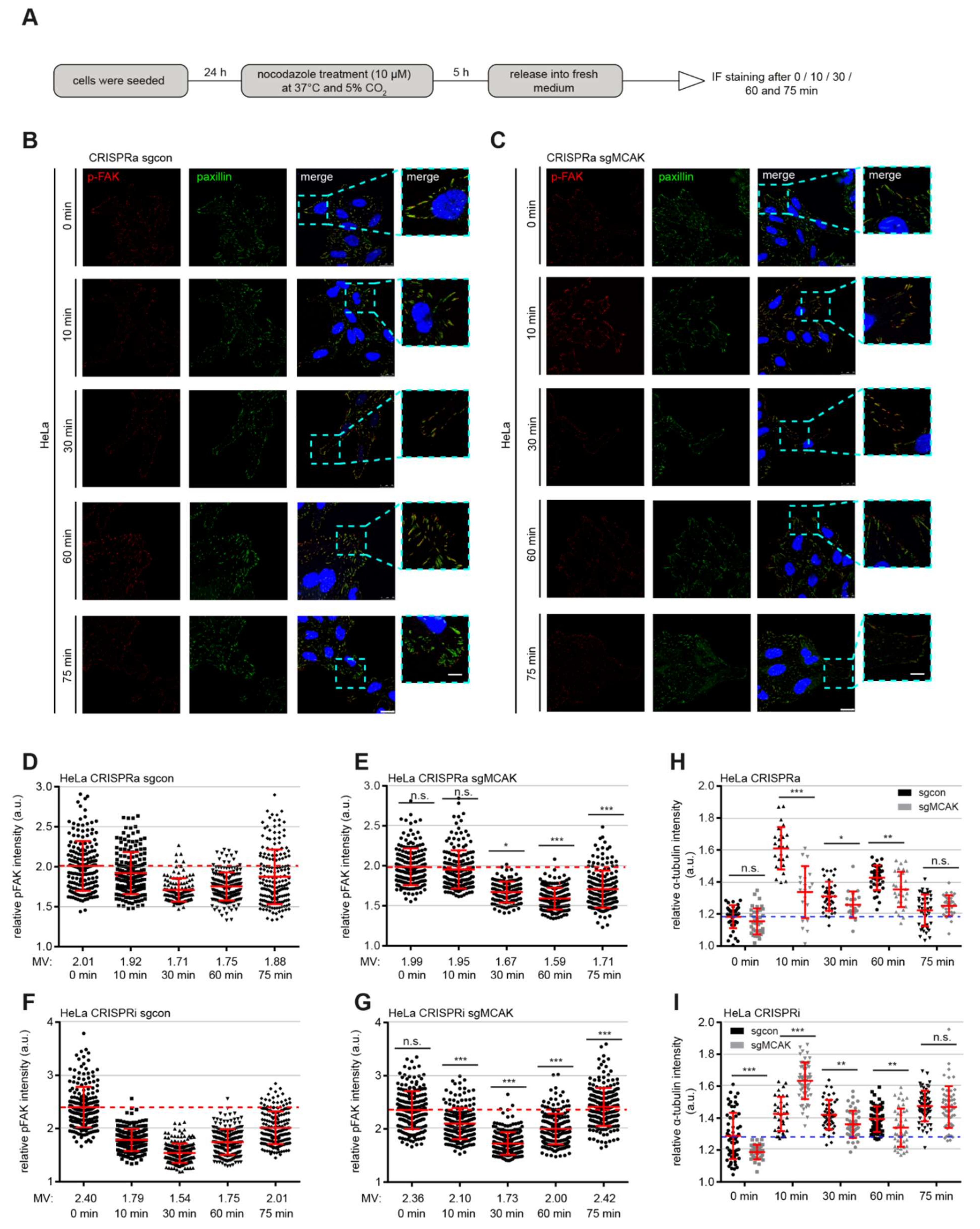 Cancers 13 05673 g006 Cancers 13 05673 g006