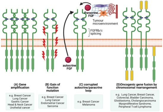 Identification of a novel HOOK3-FGFR1 fusion gene involved in